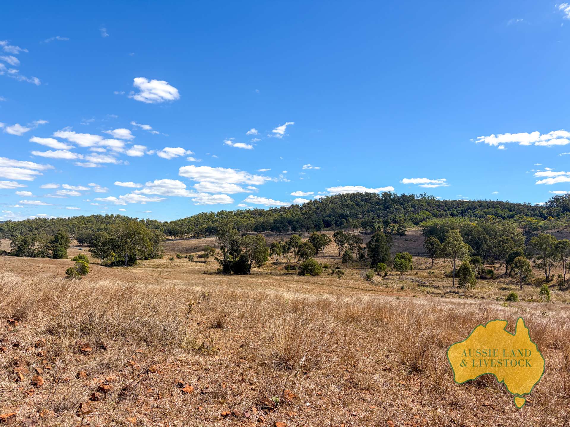 Branch Creek For Sale by Farmbuy.com - image 26