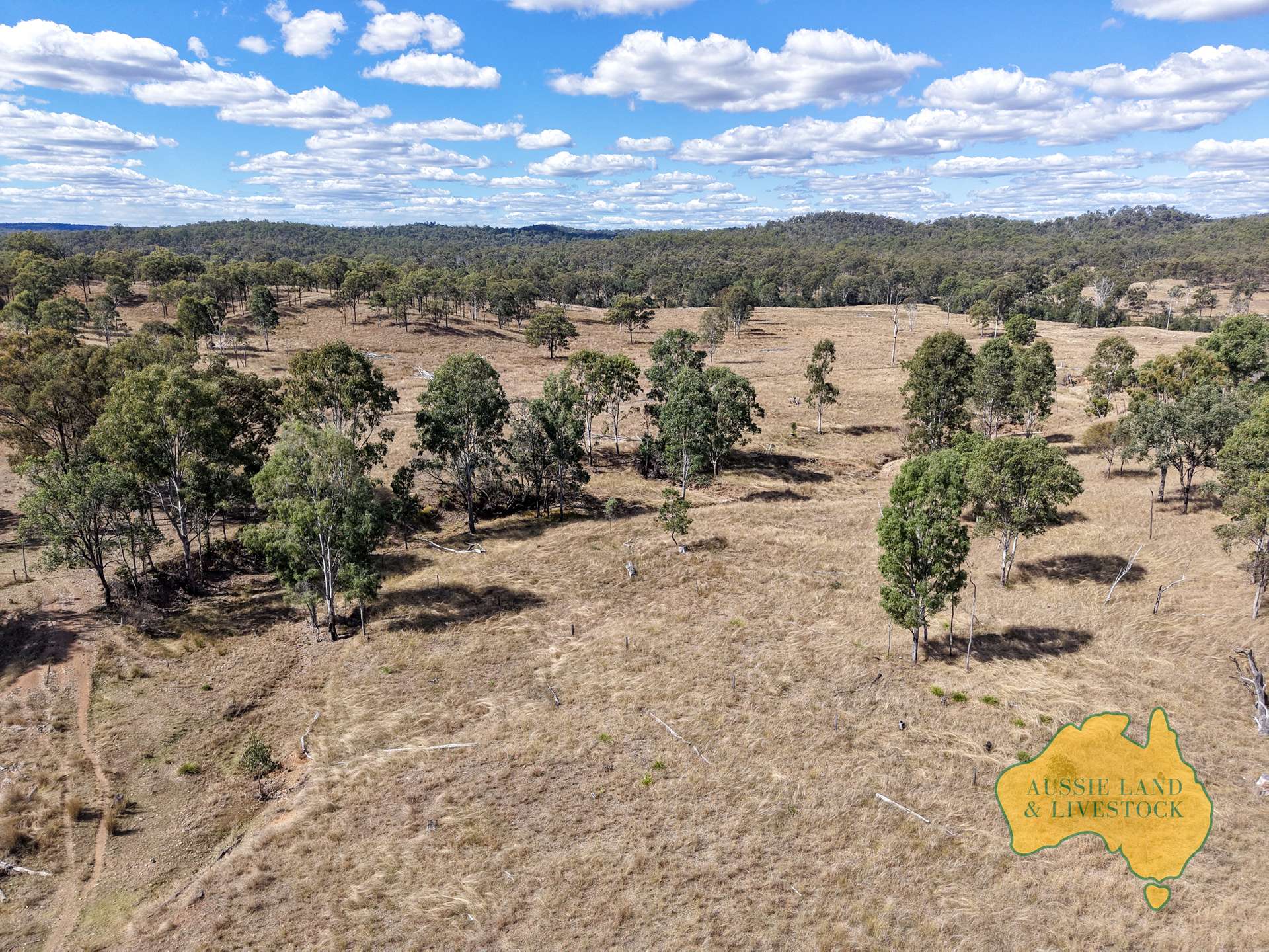 Branch Creek For Sale by Farmbuy.com - image 11