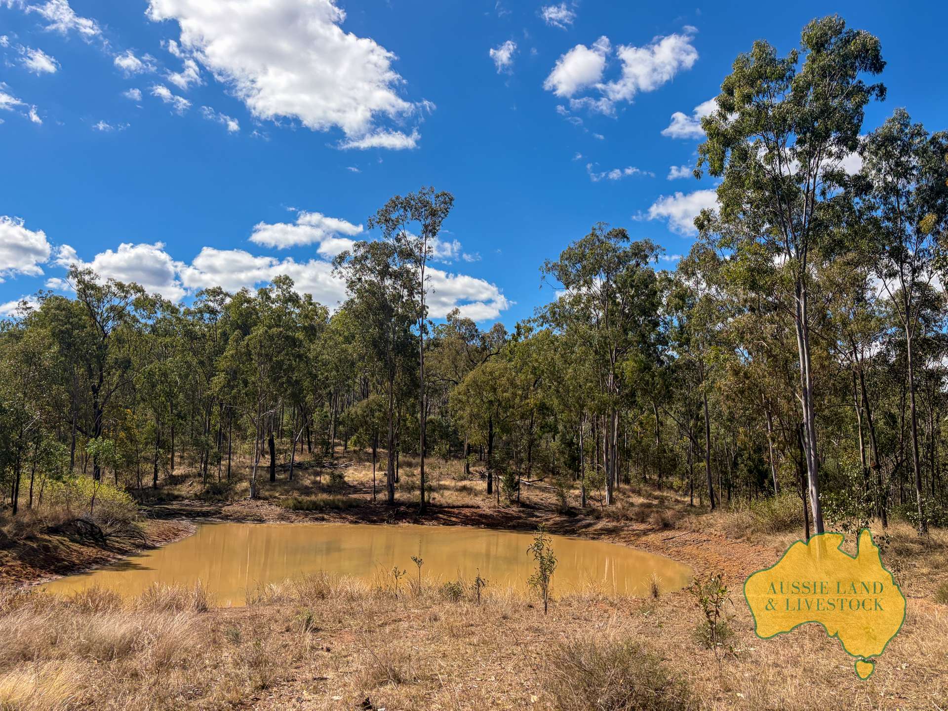Branch Creek For Sale by Farmbuy.com - image 32