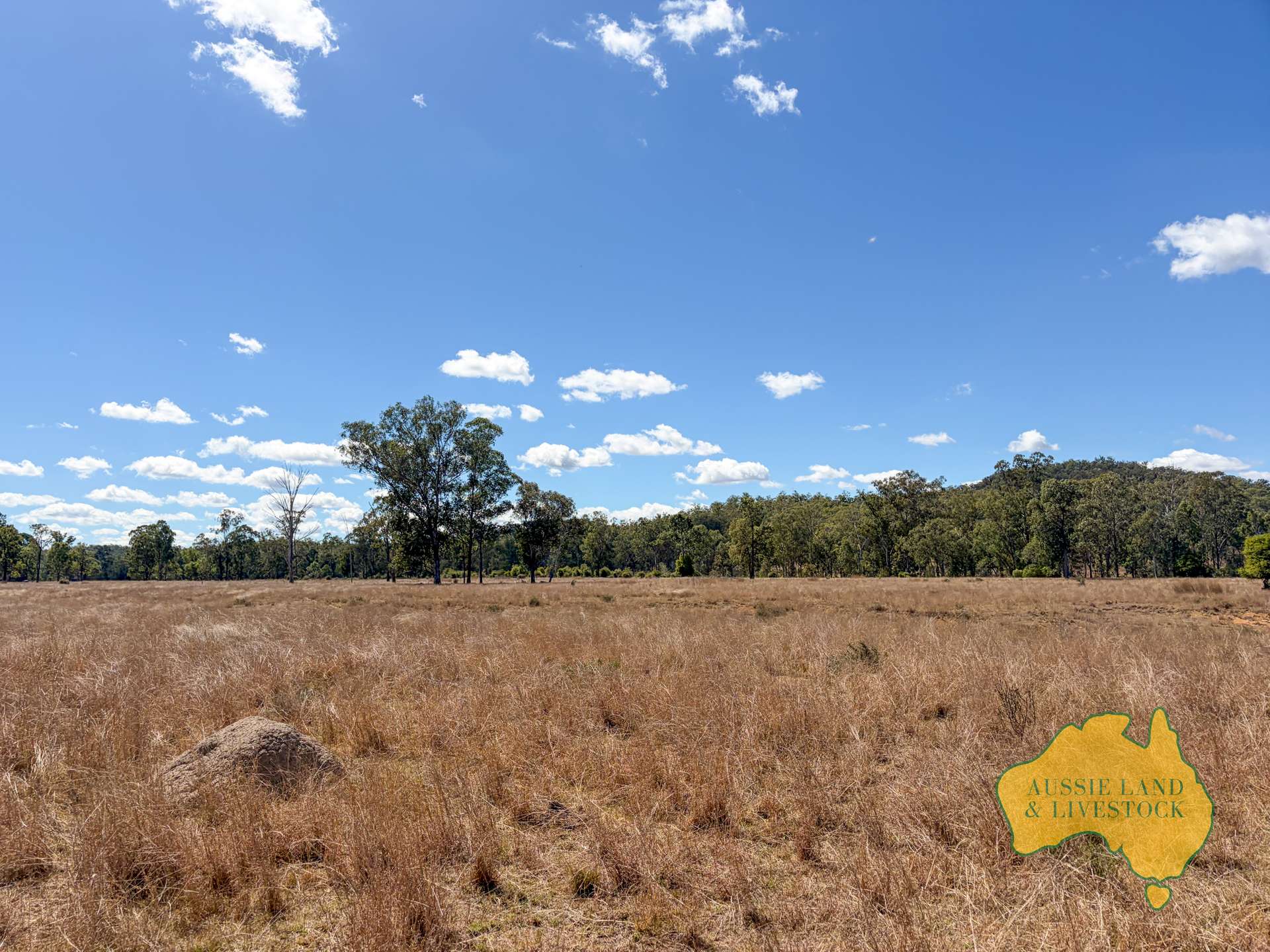 Branch Creek For Sale by Farmbuy.com - image 34