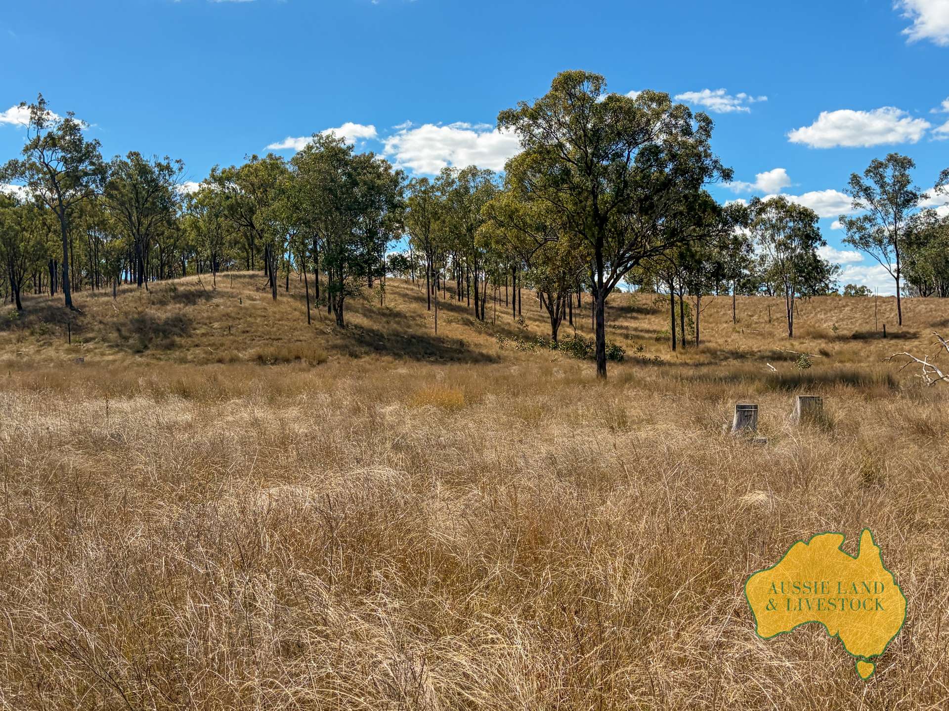 Branch Creek For Sale by Farmbuy.com - image 3