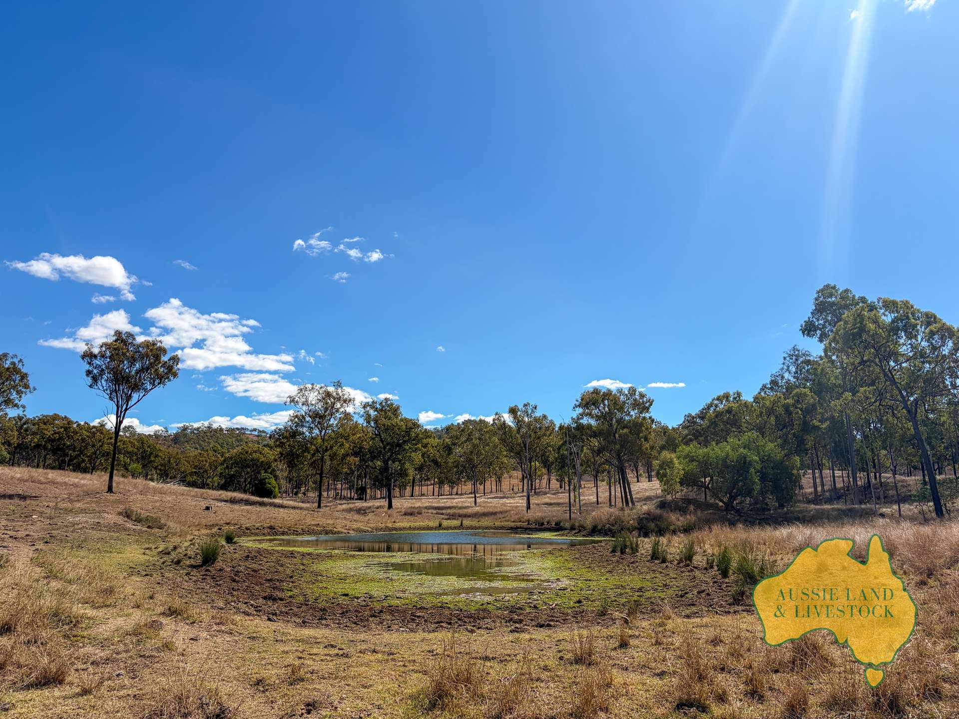 Branch Creek For Sale by Farmbuy.com - image 15