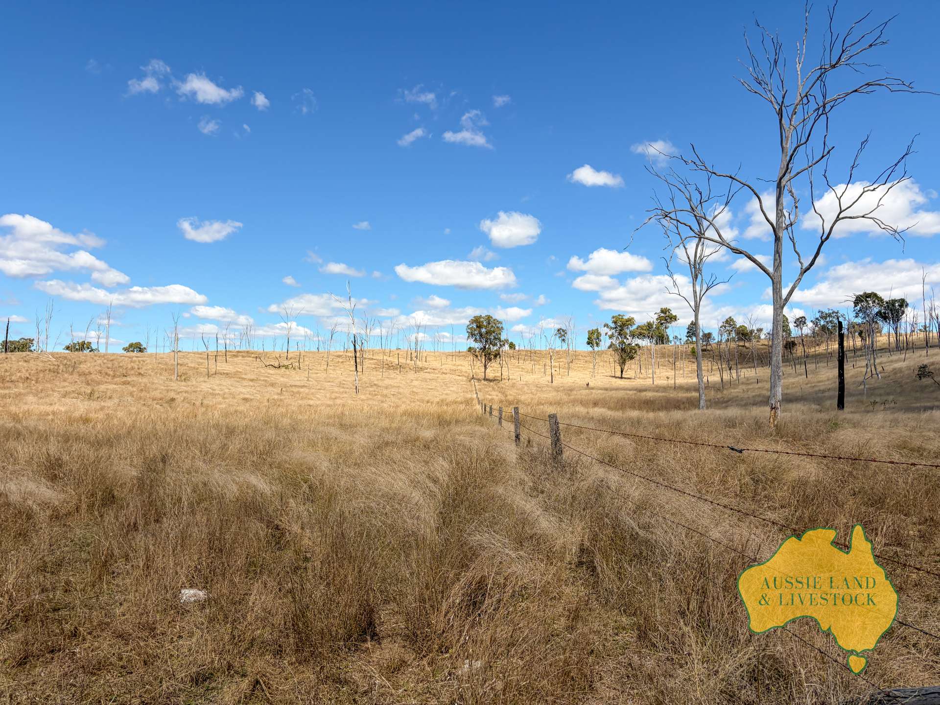 Branch Creek For Sale by Farmbuy.com - image 1