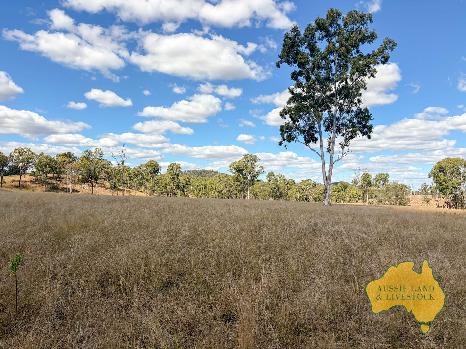 Branch Creek For Sale by Farmbuy.com - image 14