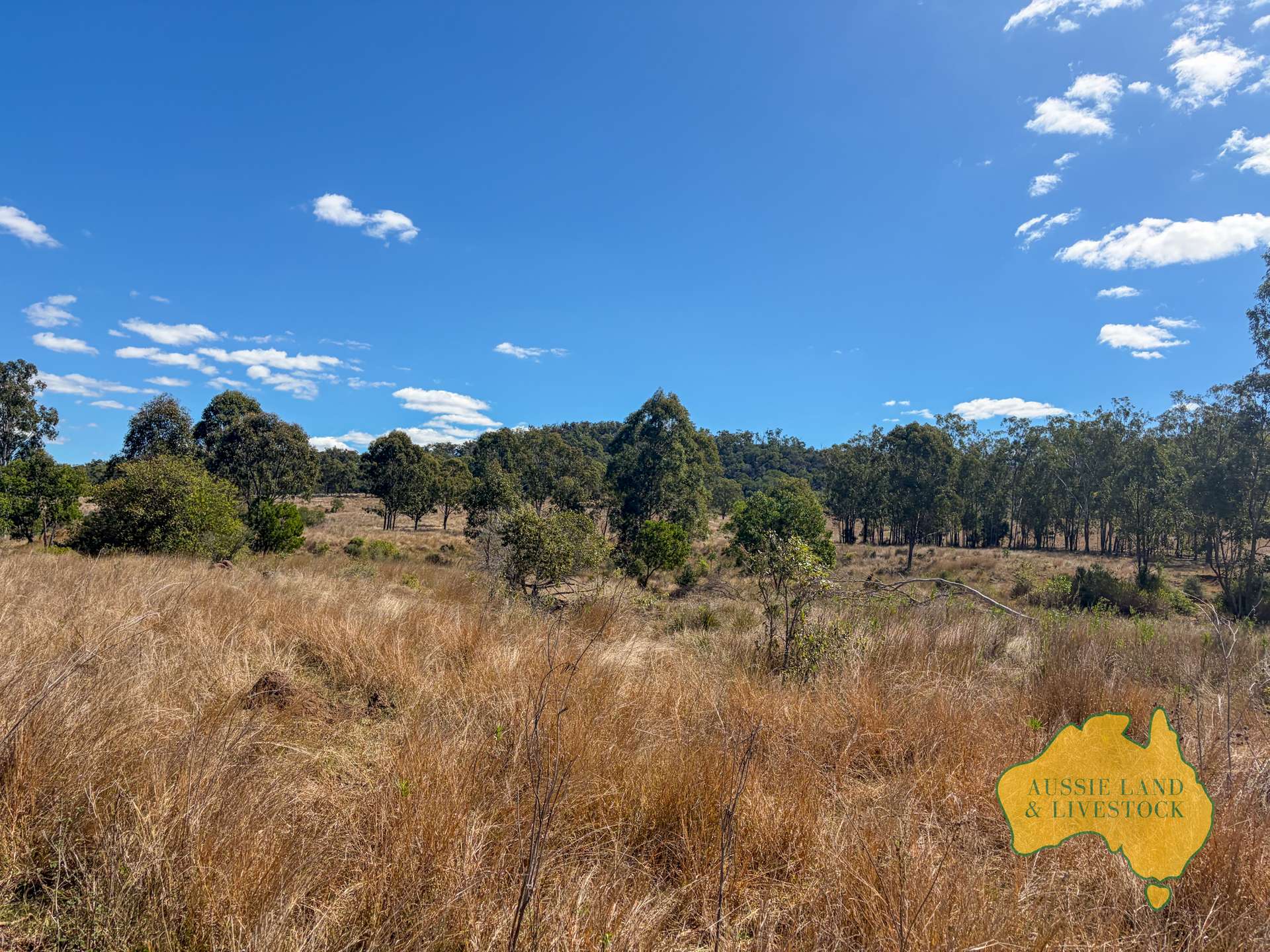 Branch Creek For Sale by Farmbuy.com - image 28