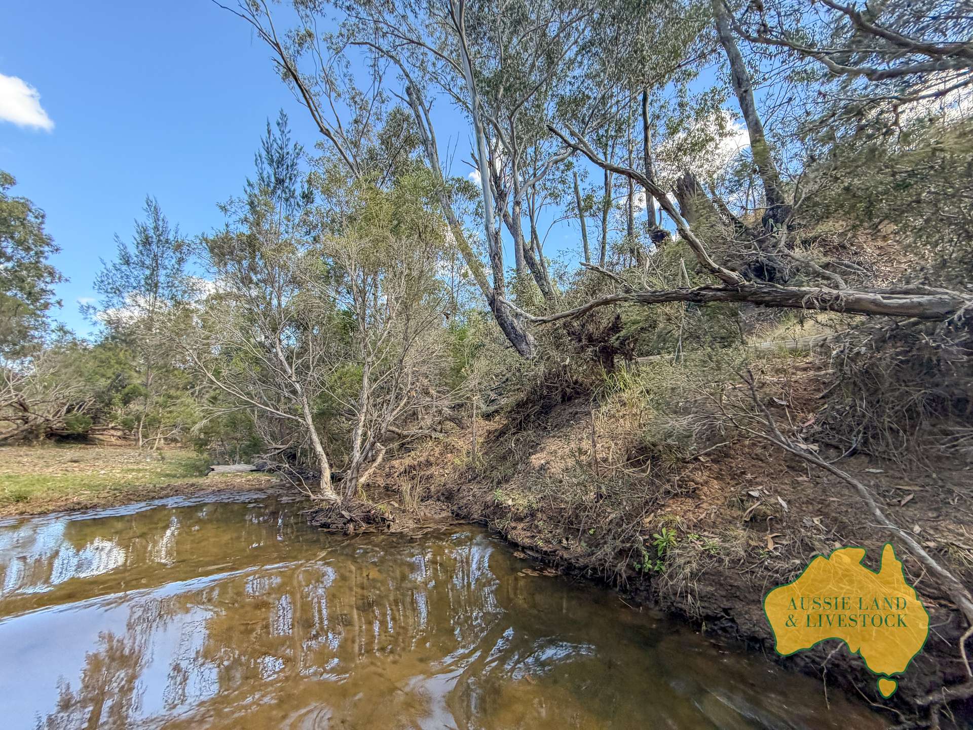 Branch Creek For Sale by Farmbuy.com - image 16