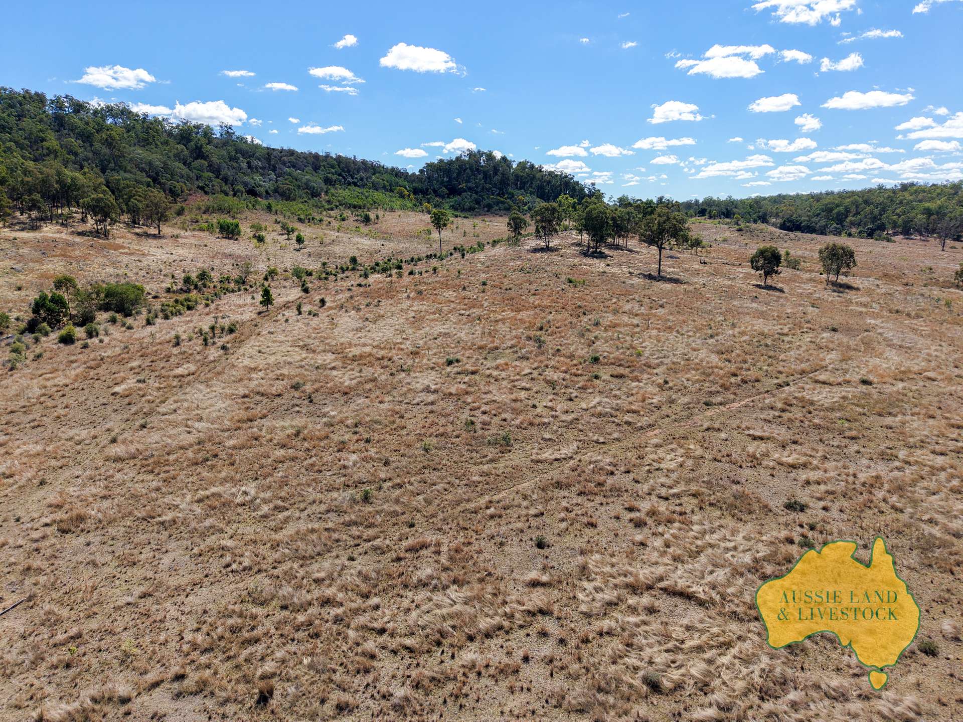 Branch Creek For Sale by Farmbuy.com - image 22