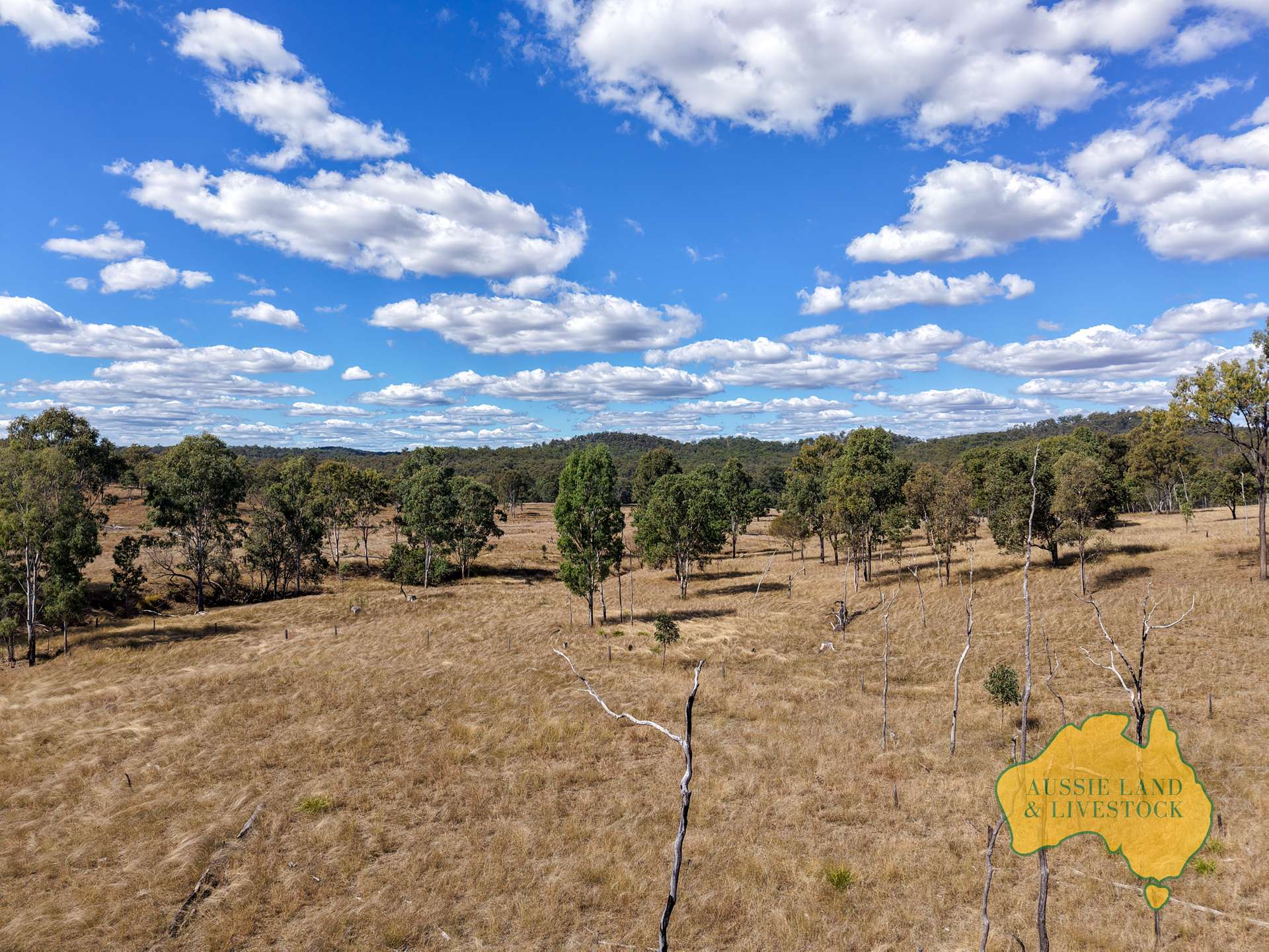 Branch Creek For Sale by Farmbuy.com - image 17
