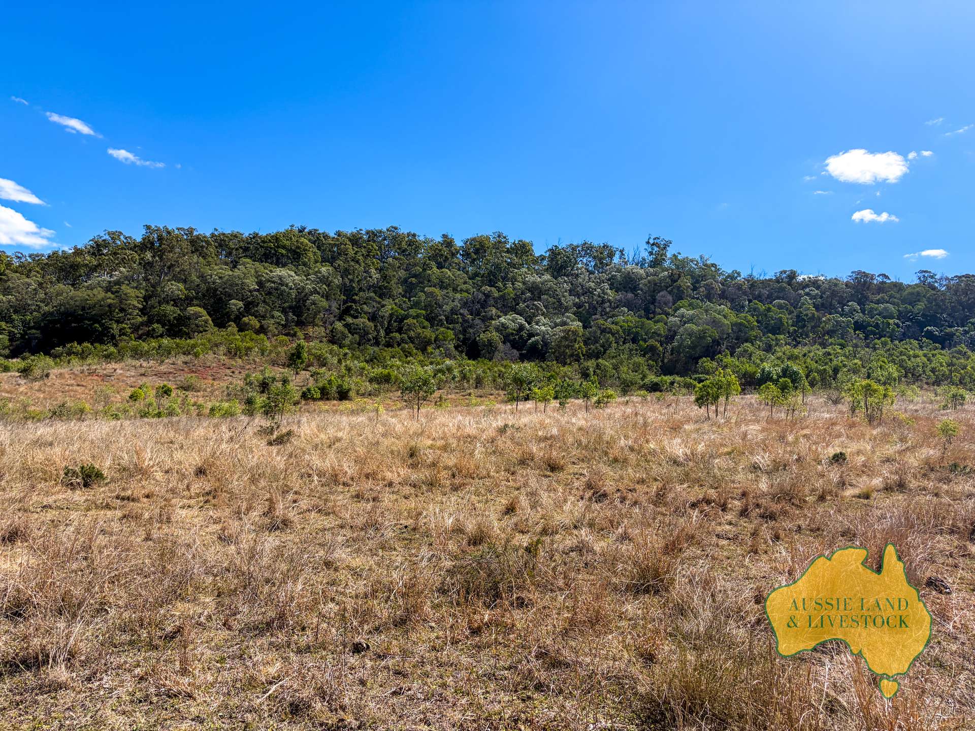 Branch Creek For Sale by Farmbuy.com - image 30