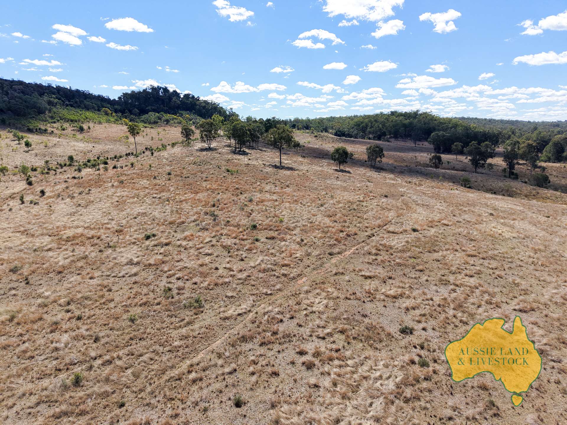 Branch Creek For Sale by Farmbuy.com - image 27