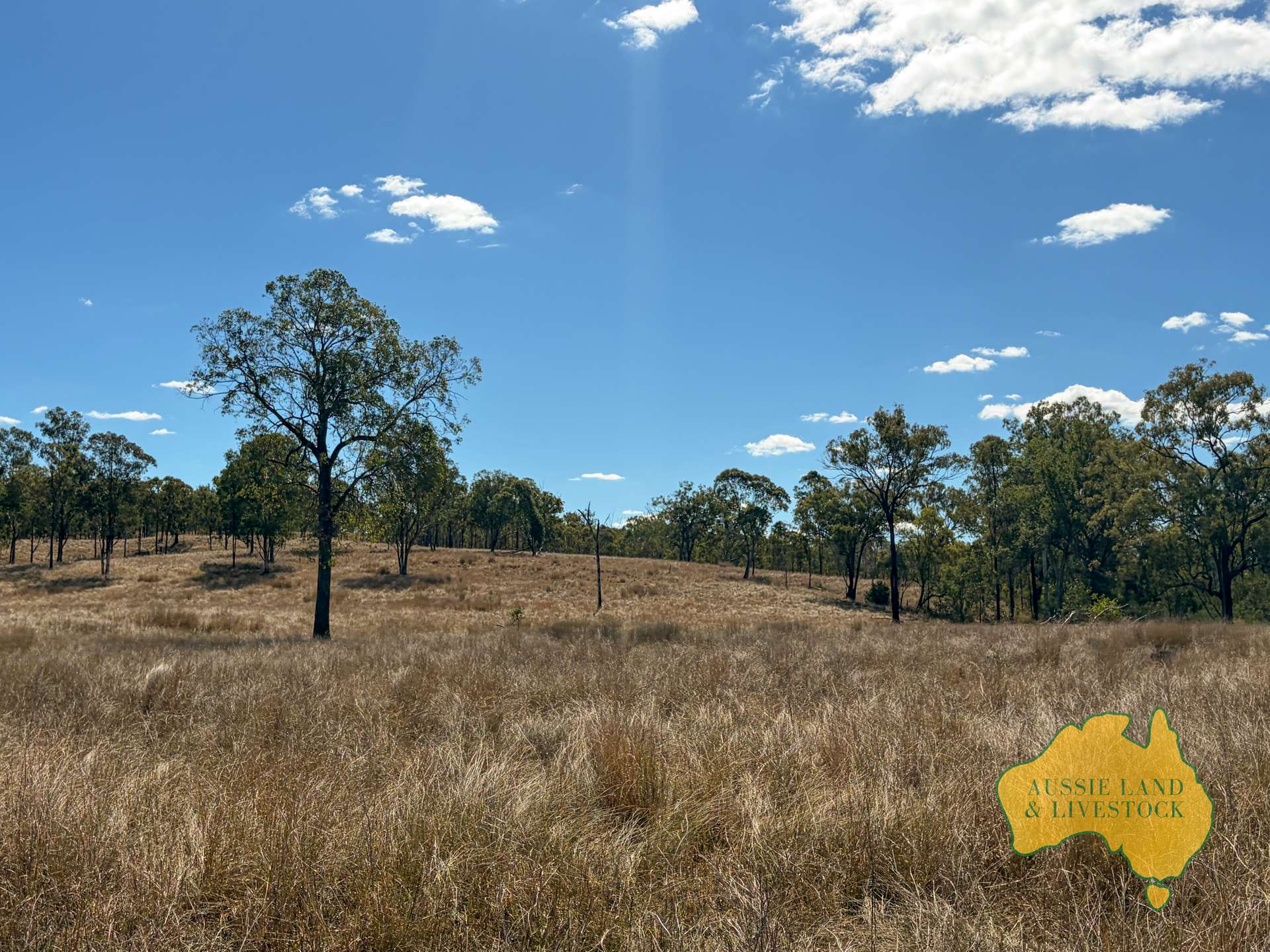 Branch Creek For Sale by Farmbuy.com - image 13