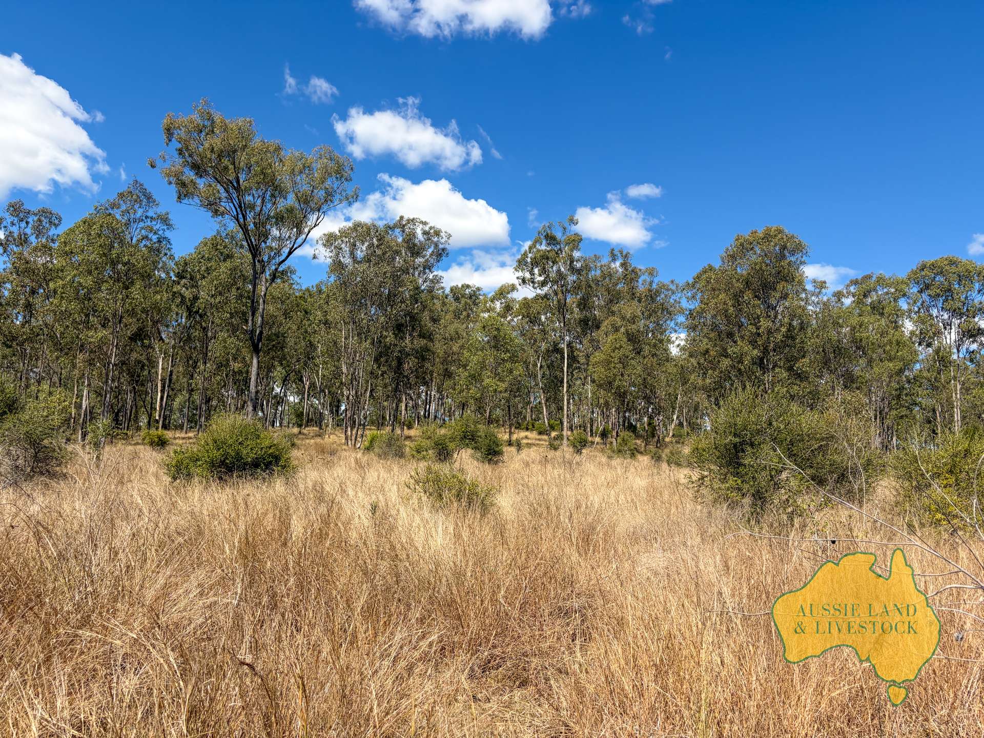 Branch Creek For Sale by Farmbuy.com - image 33