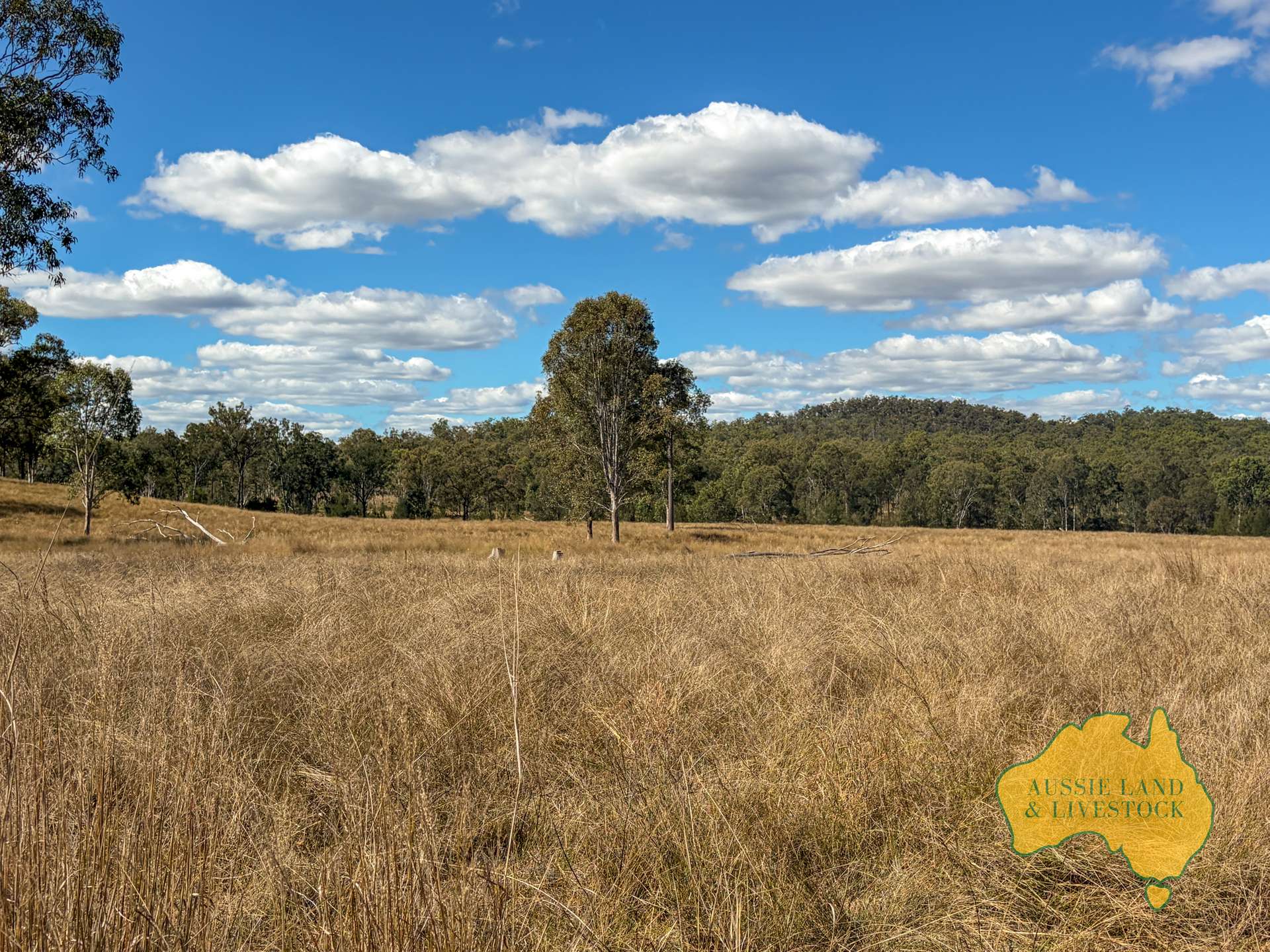 Branch Creek For Sale by Farmbuy.com - image 12