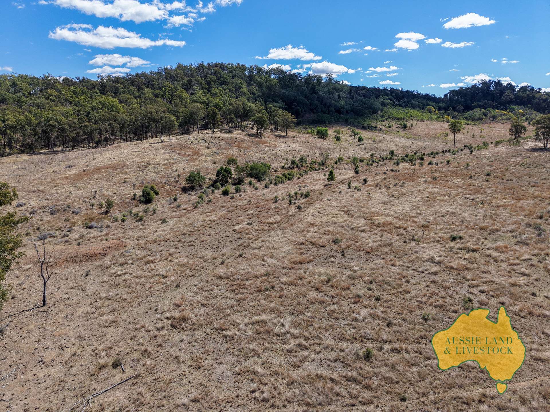 Branch Creek For Sale by Farmbuy.com - image 23