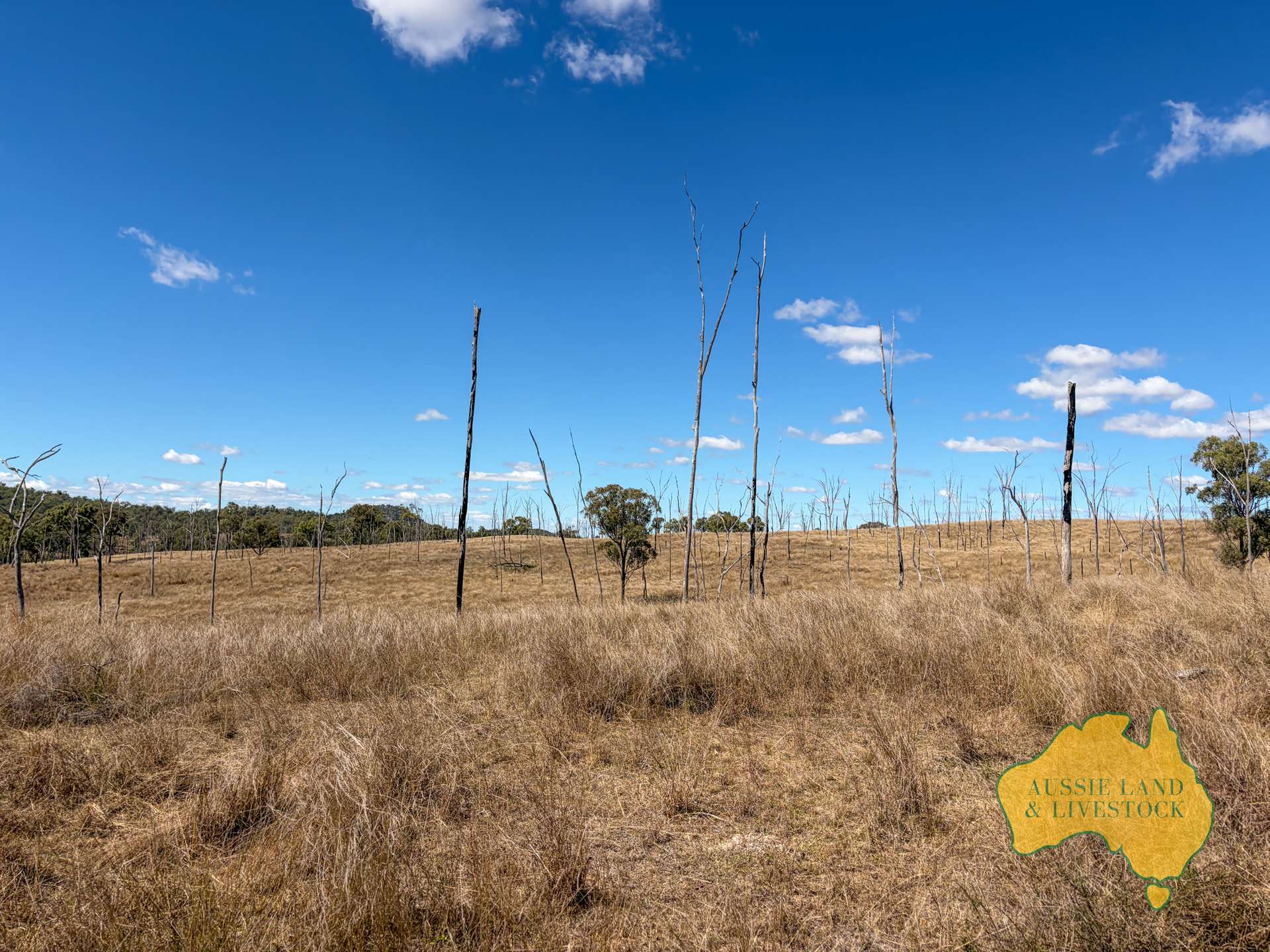 Branch Creek For Sale by Farmbuy.com - image 18