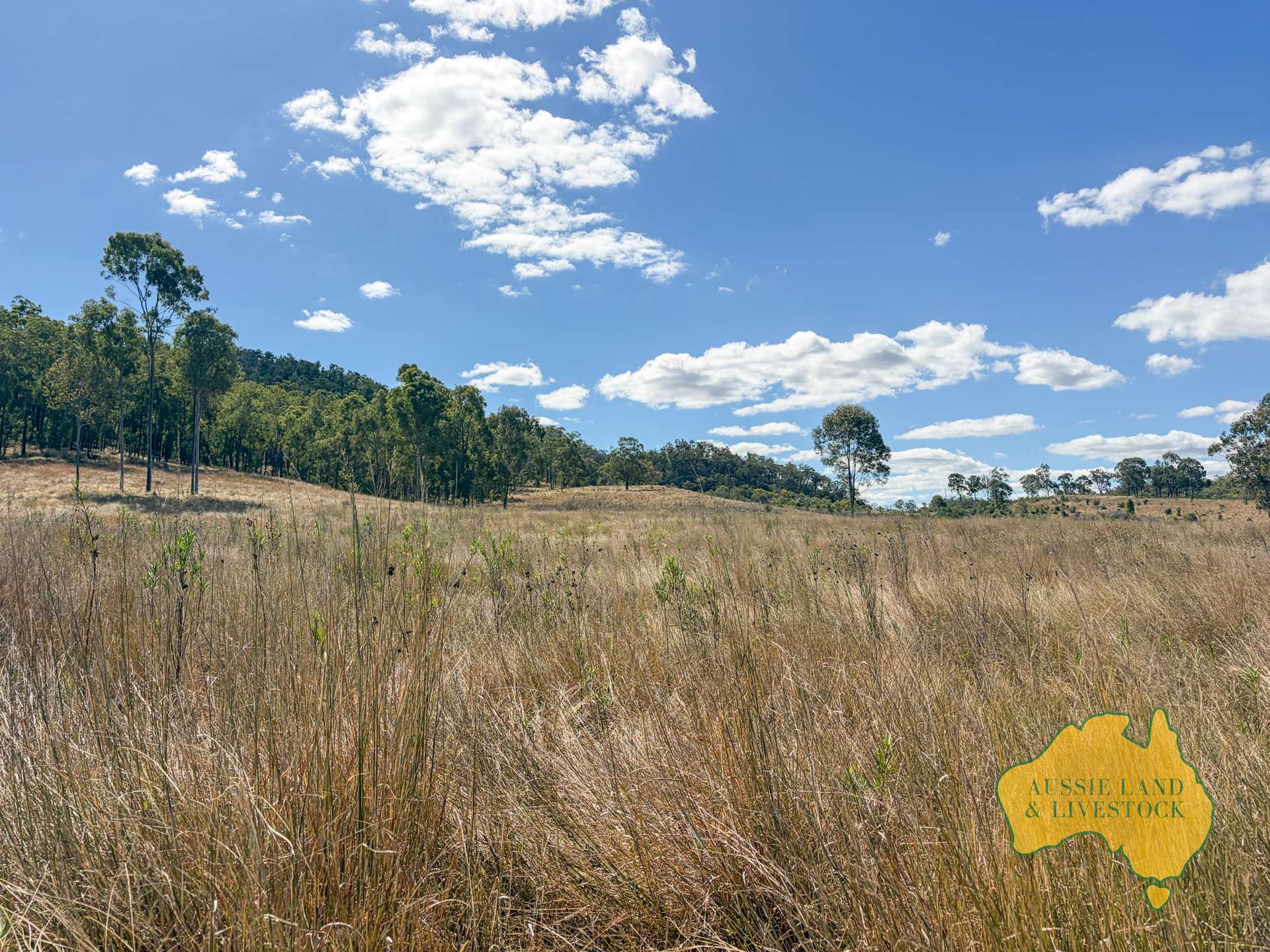 Branch Creek For Sale by Farmbuy.com - image 31