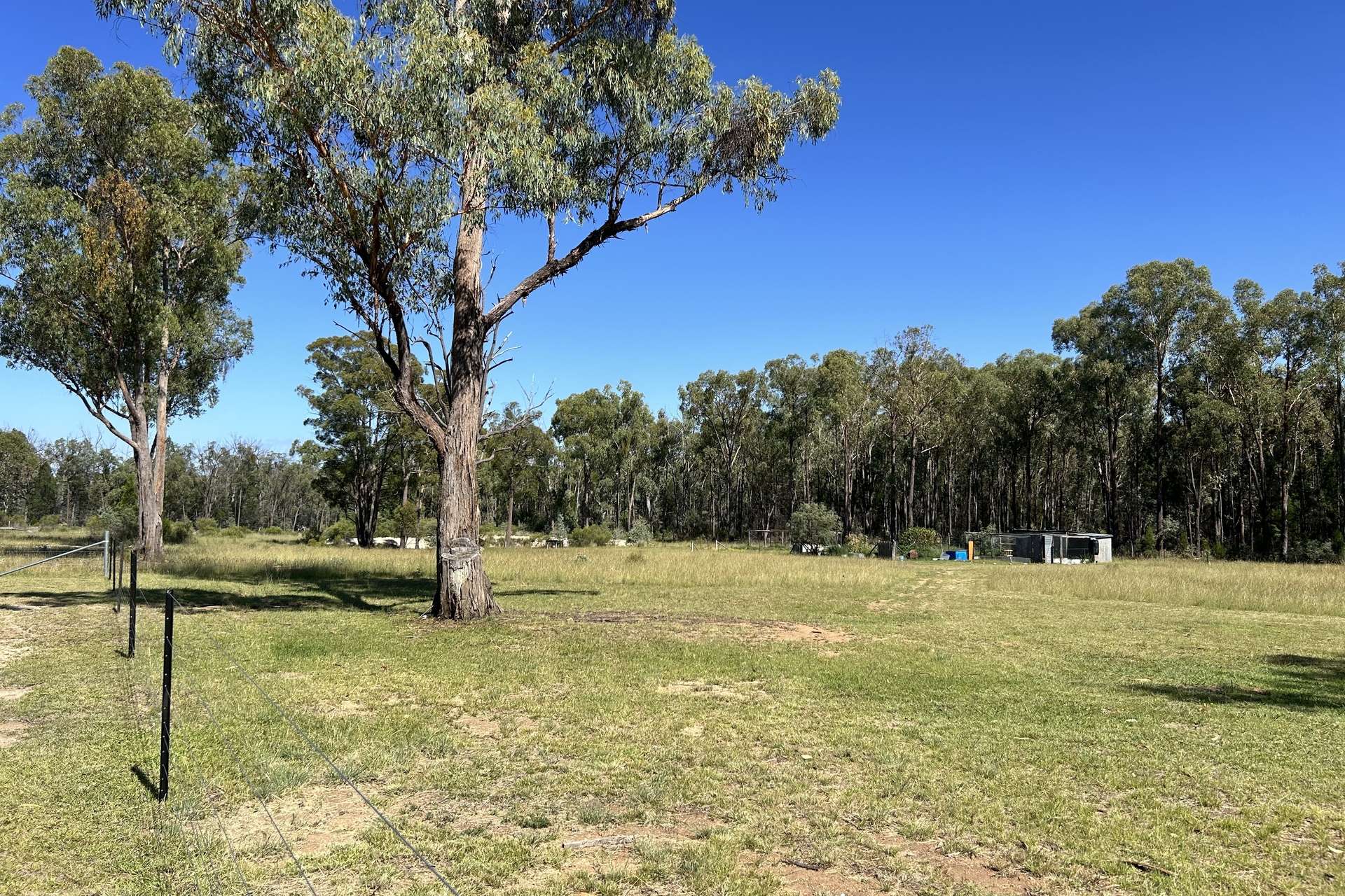 445 Old Stannifer Road, Inverell For Sale by Farmbuy.com - image 18