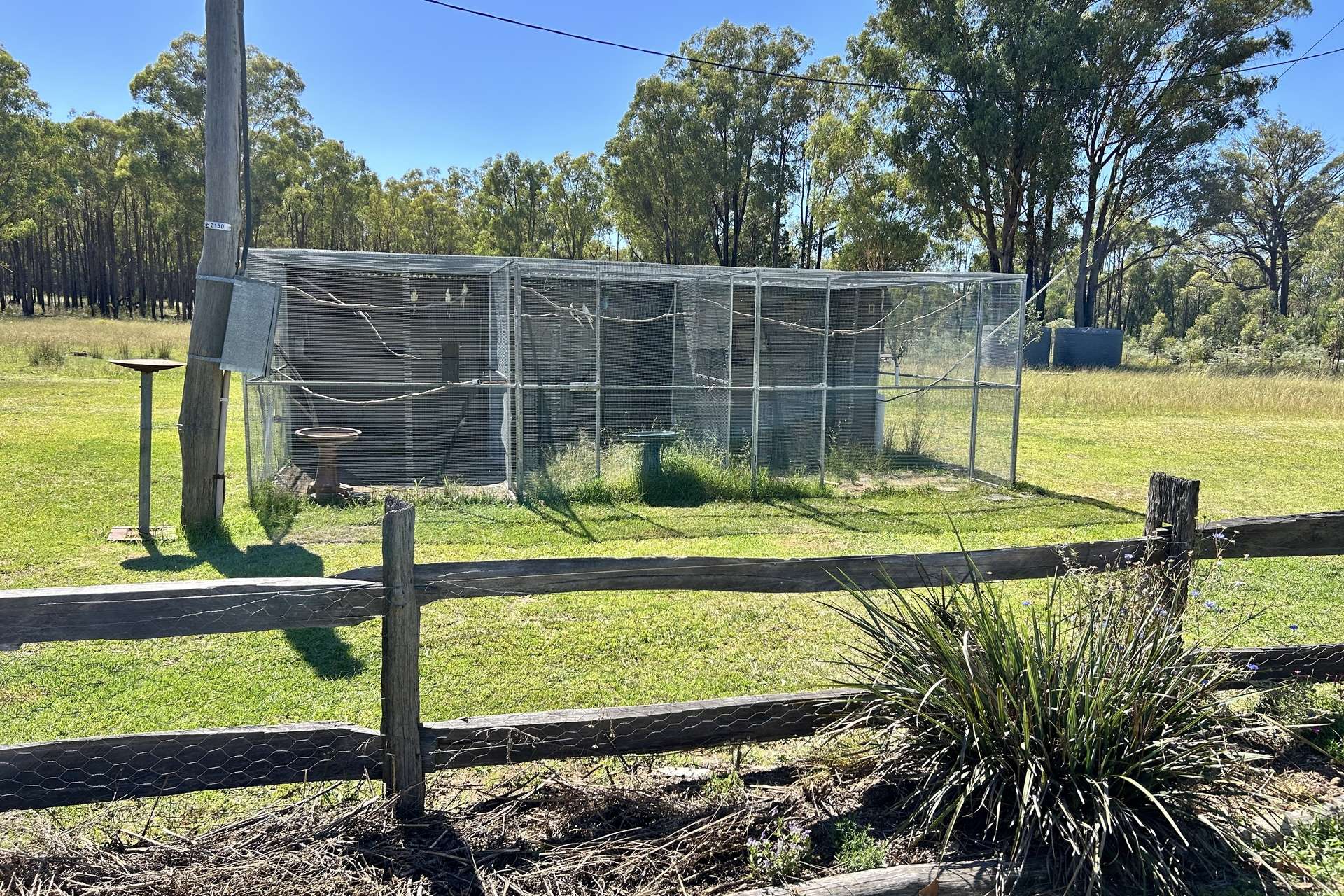 445 Old Stannifer Road, Inverell For Sale by Farmbuy.com - image 19