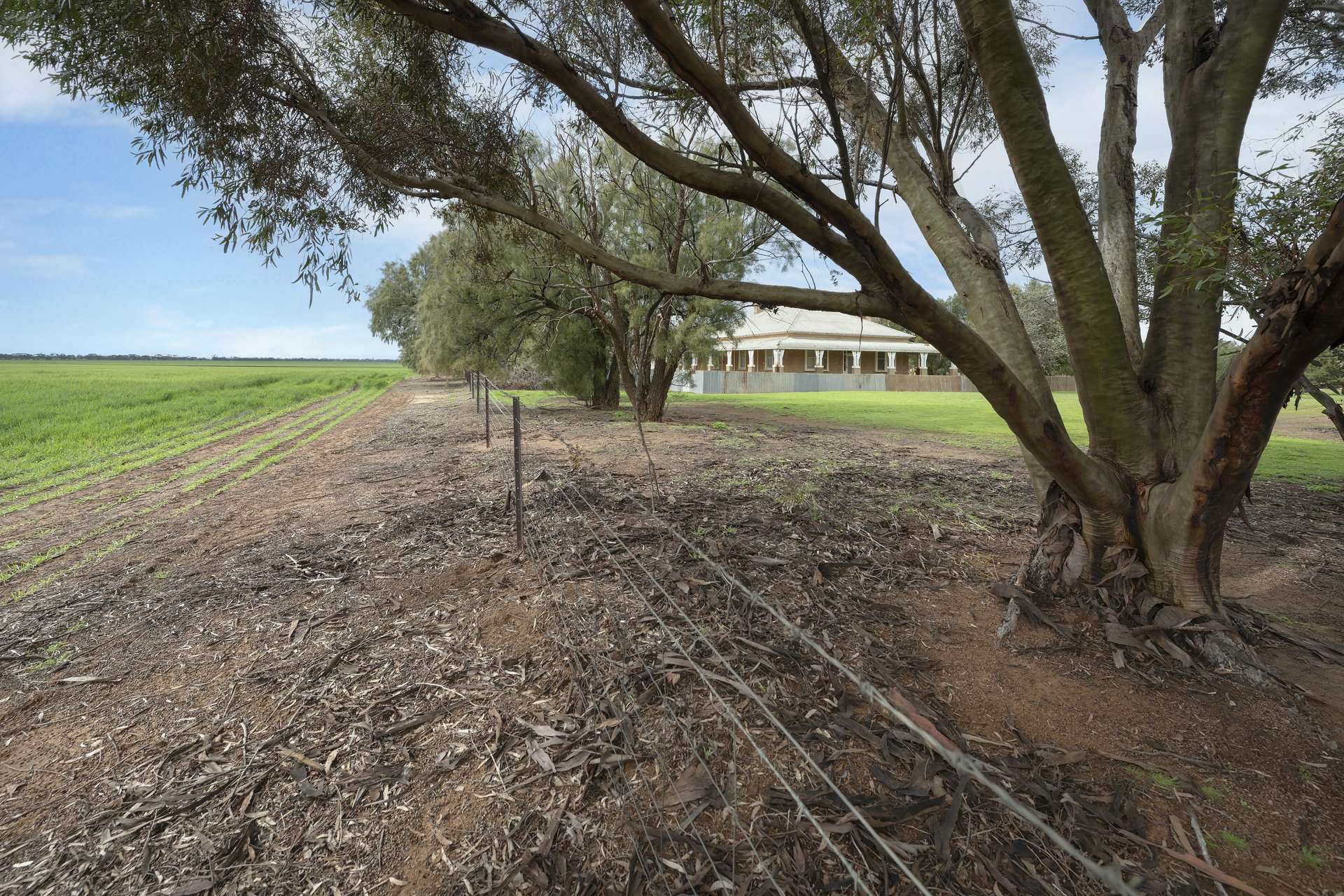 Lot 1/584 Godwins Road, Berriwillock For Sale by Farmbuy.com - image 25
