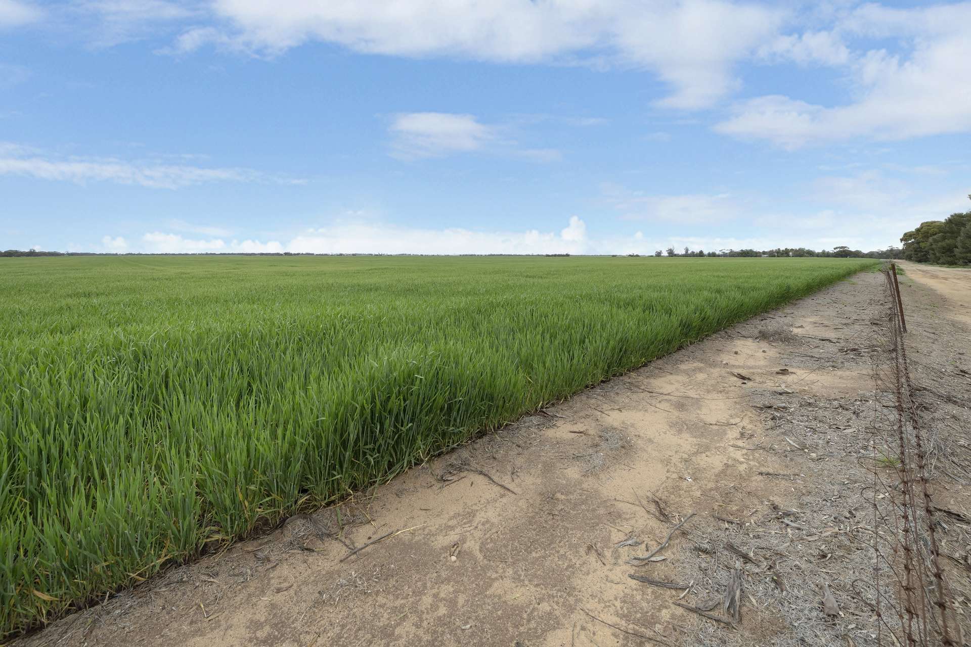 Lot 1/584 Godwins Road, Berriwillock For Sale by Farmbuy.com - image 26