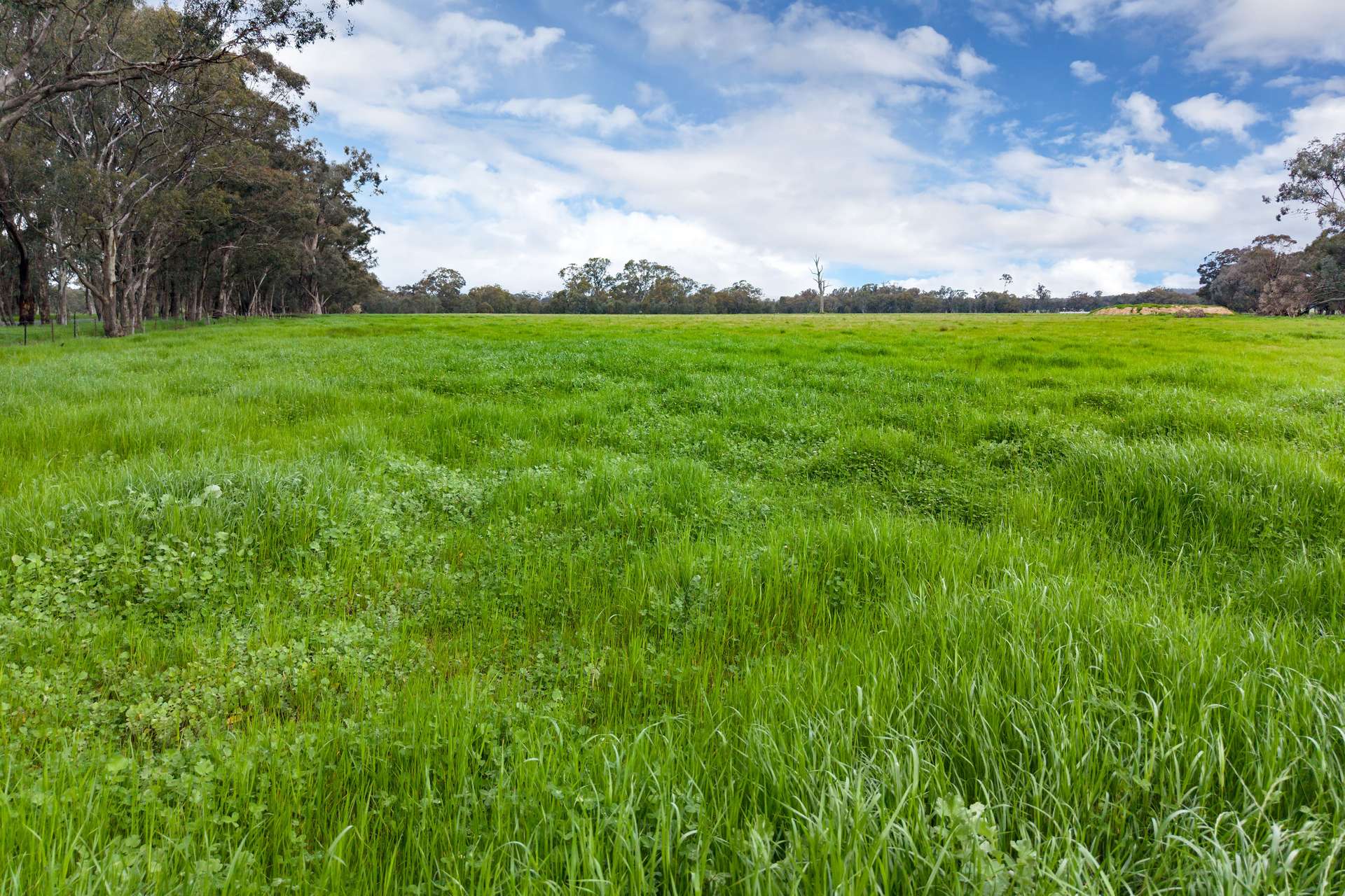134 Soldiers Road, Barnawartha Auction by Farmbuy.com - image 18