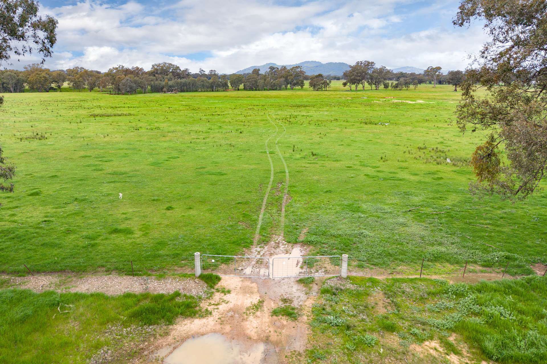 134 Soldiers Road, Barnawartha Auction by Farmbuy.com - image 18
