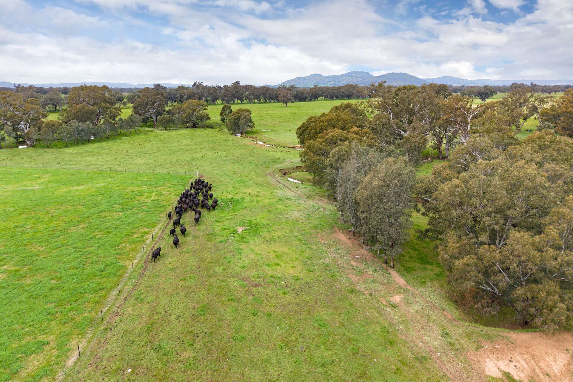 134 Soldiers Road, Barnawartha Auction by Farmbuy.com - image 15
