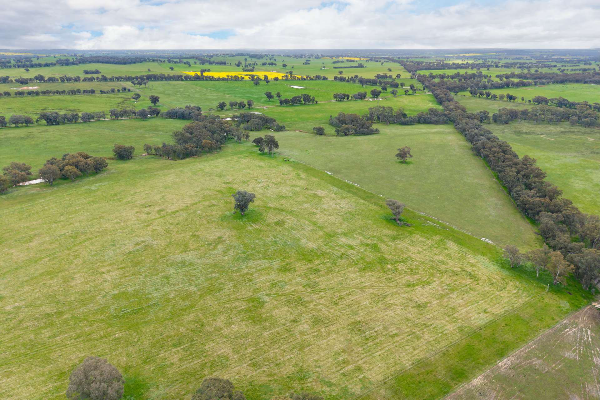 134 Soldiers Road, Barnawartha Auction by Farmbuy.com - image 22
