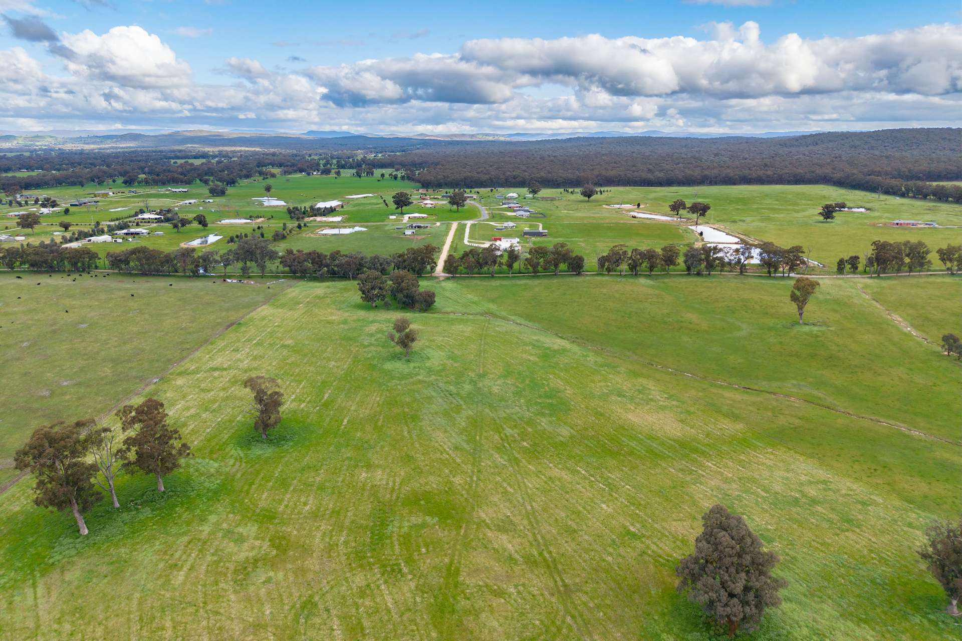 134 Soldiers Road, Barnawartha Auction by Farmbuy.com - image 2