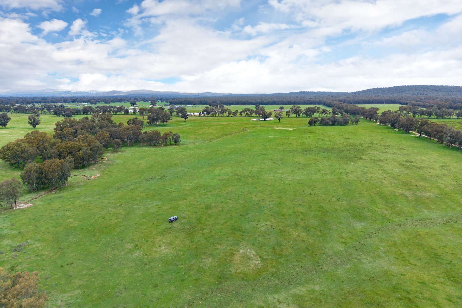 134 Soldiers Road, Barnawartha Auction by Farmbuy.com - image 7