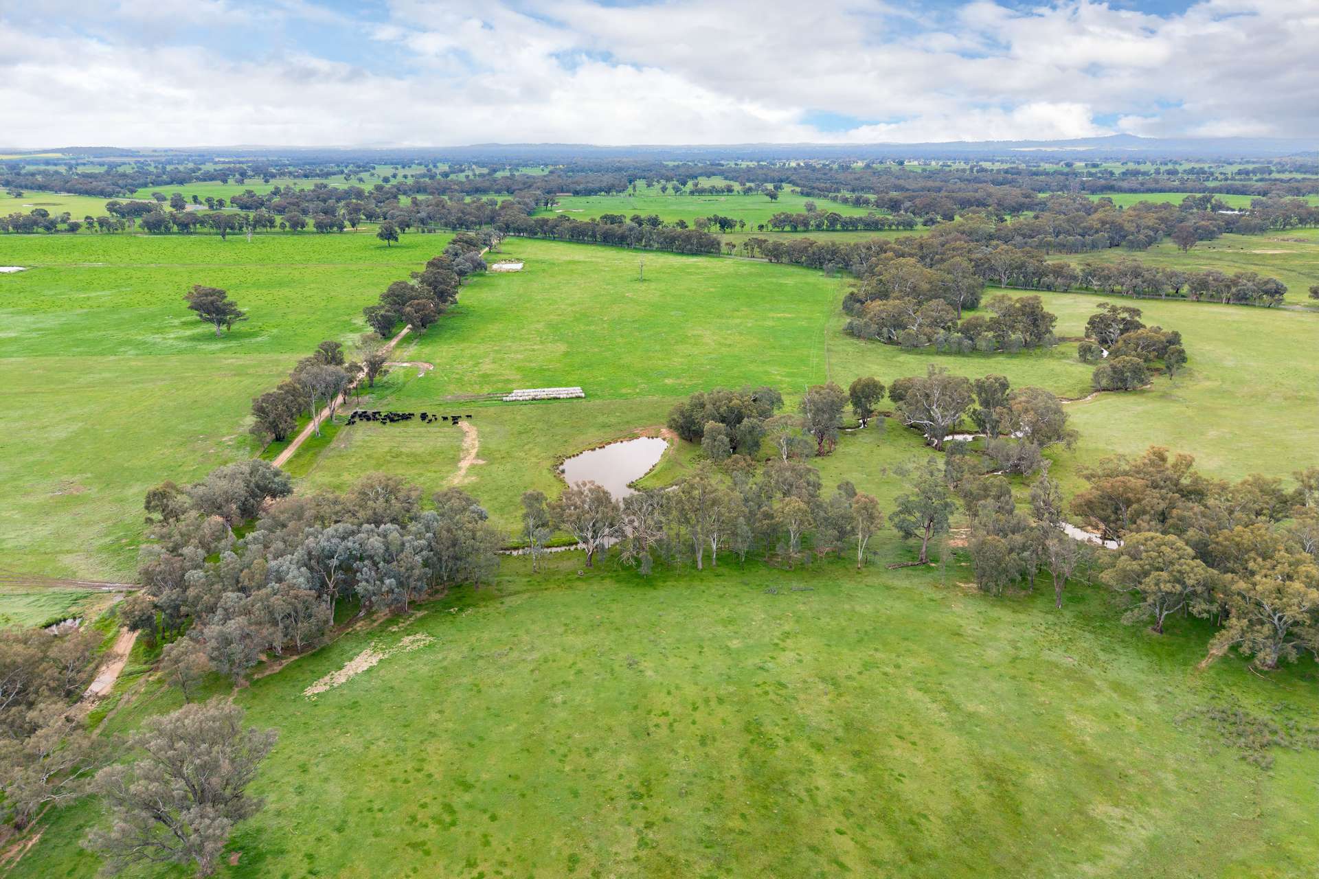 134 Soldiers Road, Barnawartha Auction by Farmbuy.com - image 8