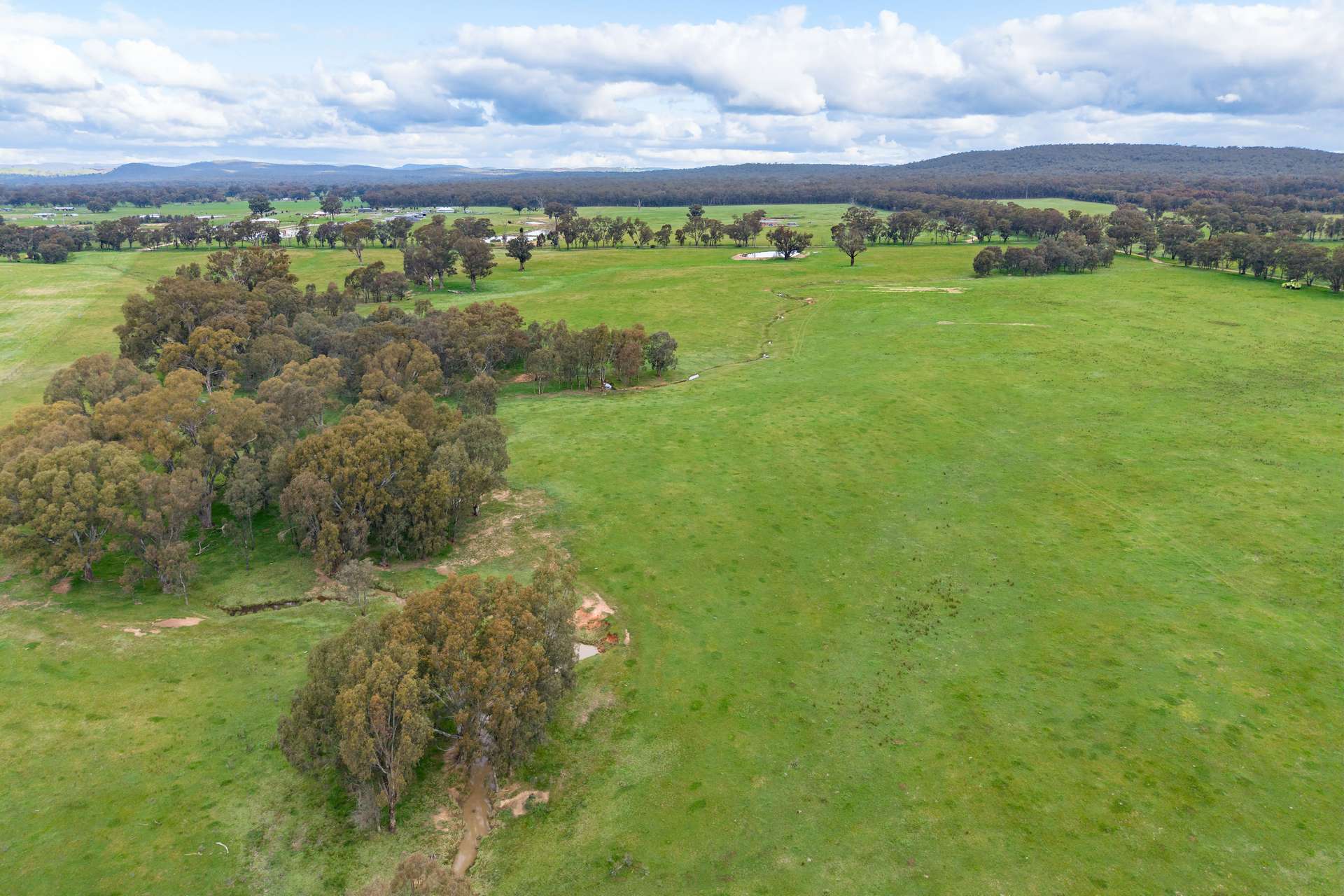 134 Soldiers Road, Barnawartha Auction by Farmbuy.com - image 20