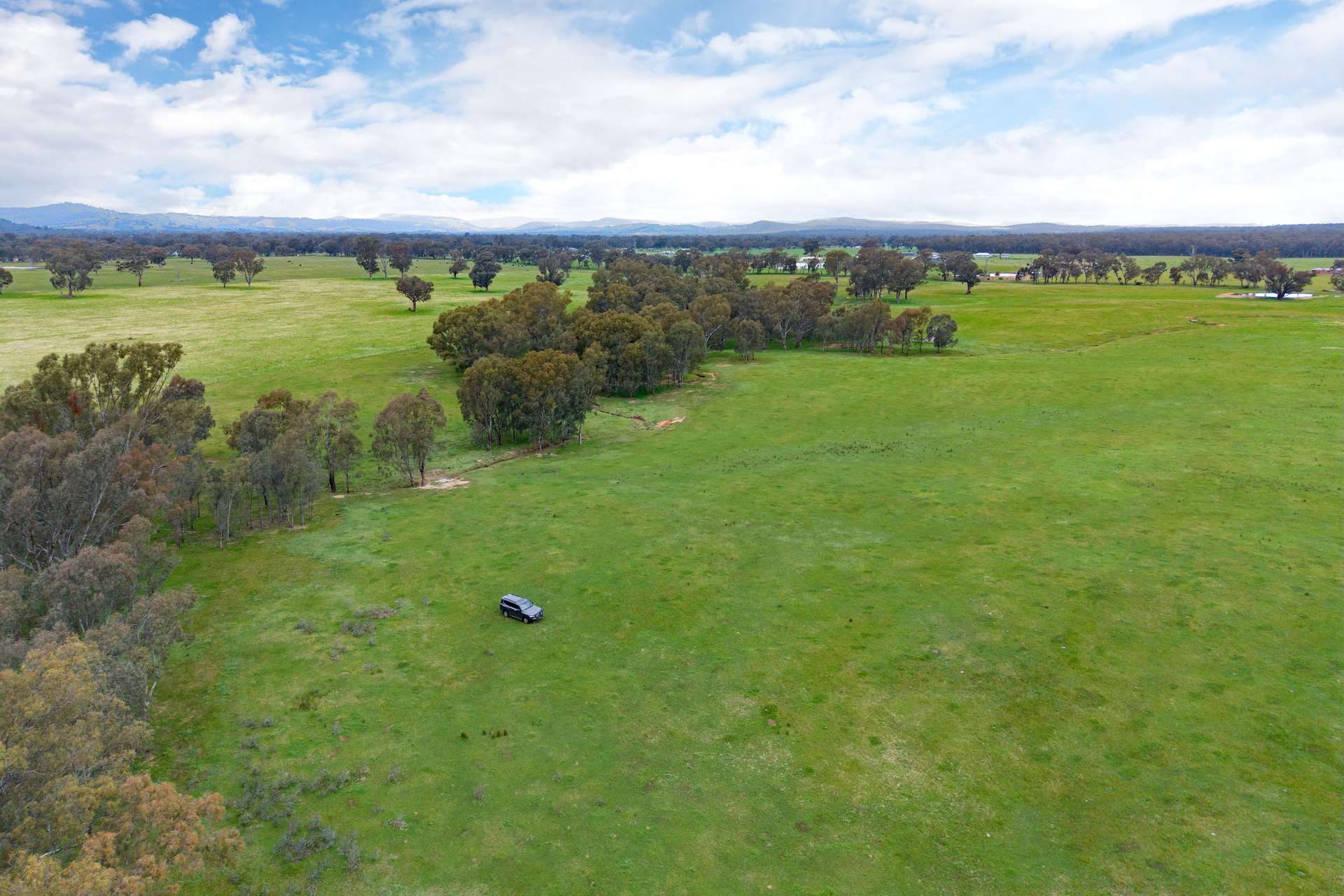 134 Soldiers Road, Barnawartha Auction by Farmbuy.com - image 6