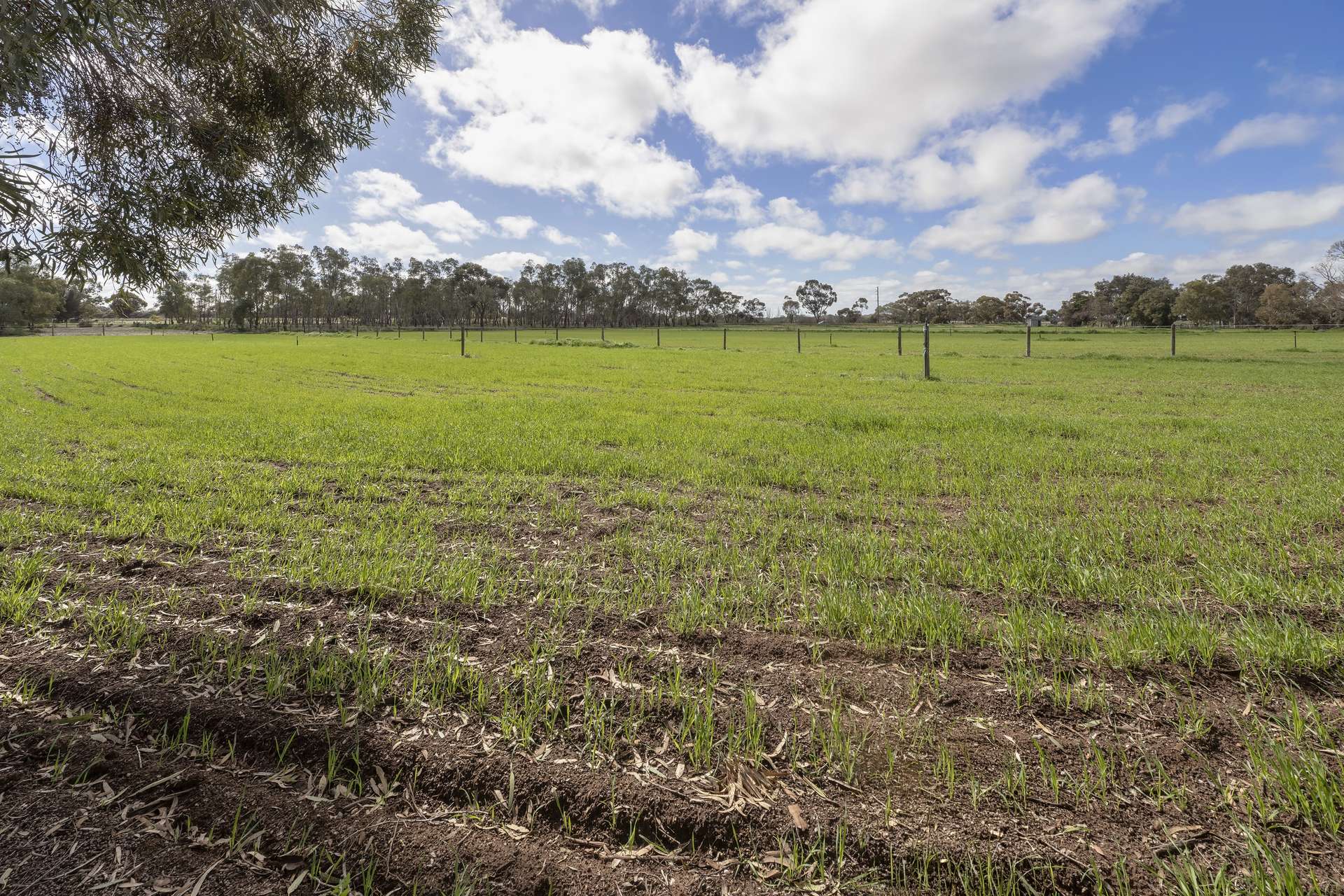 5213 Murray Valley Highway, Castle Donnington For Sale by Farmbuy.com - image 31