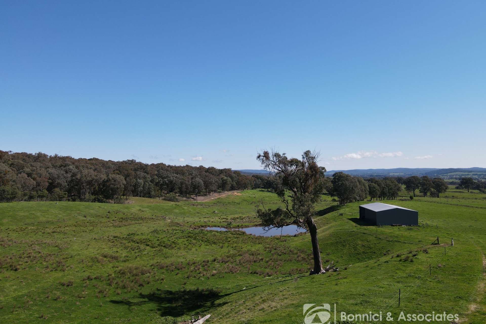 Lot Crown Allo, Sect J2 Wyatt Lane, Wooragee For Sale by Farmbuy.com - image 9