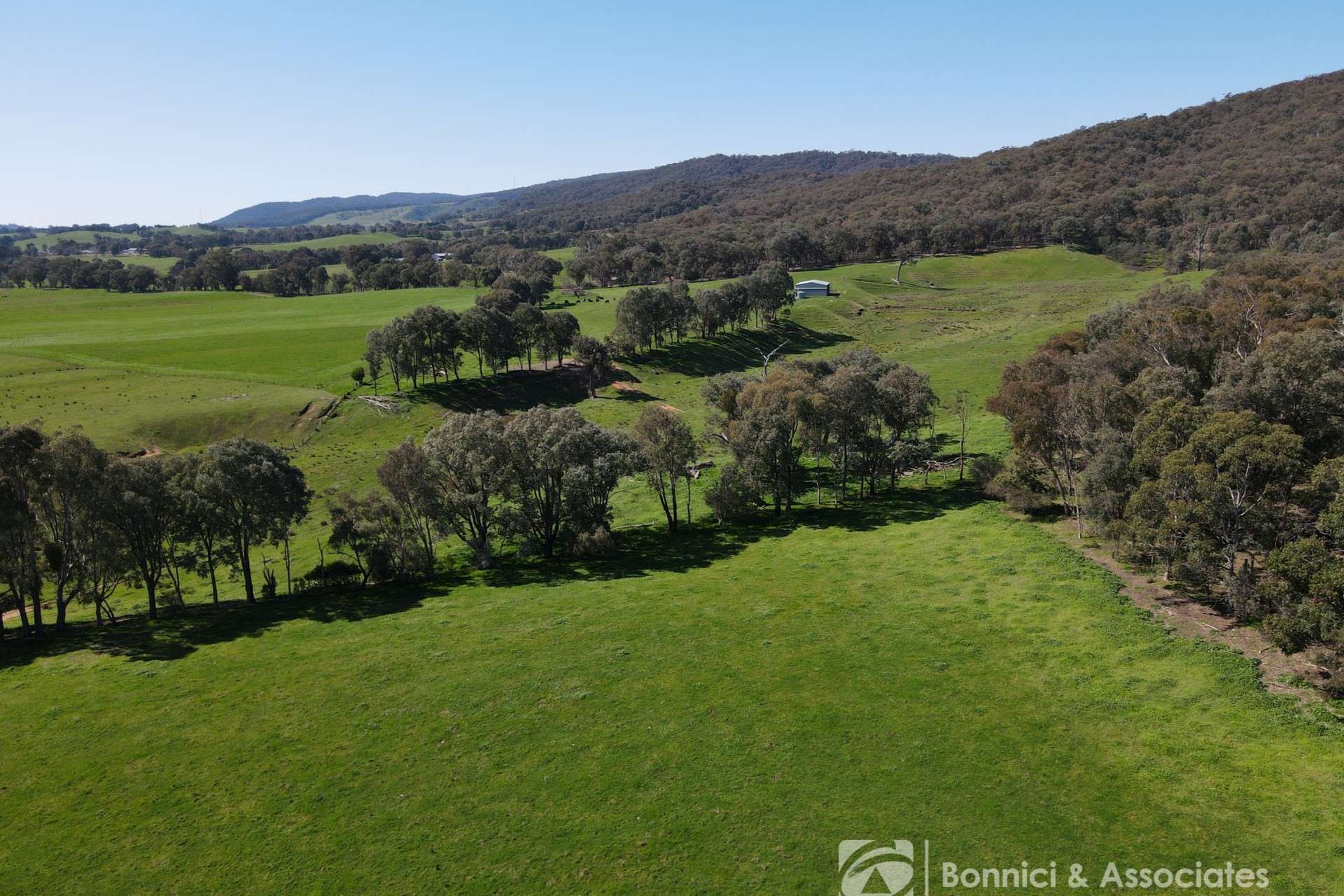 Lot Crown Allo, Sect J2 Wyatt Lane, Wooragee For Sale by Farmbuy.com - image 7