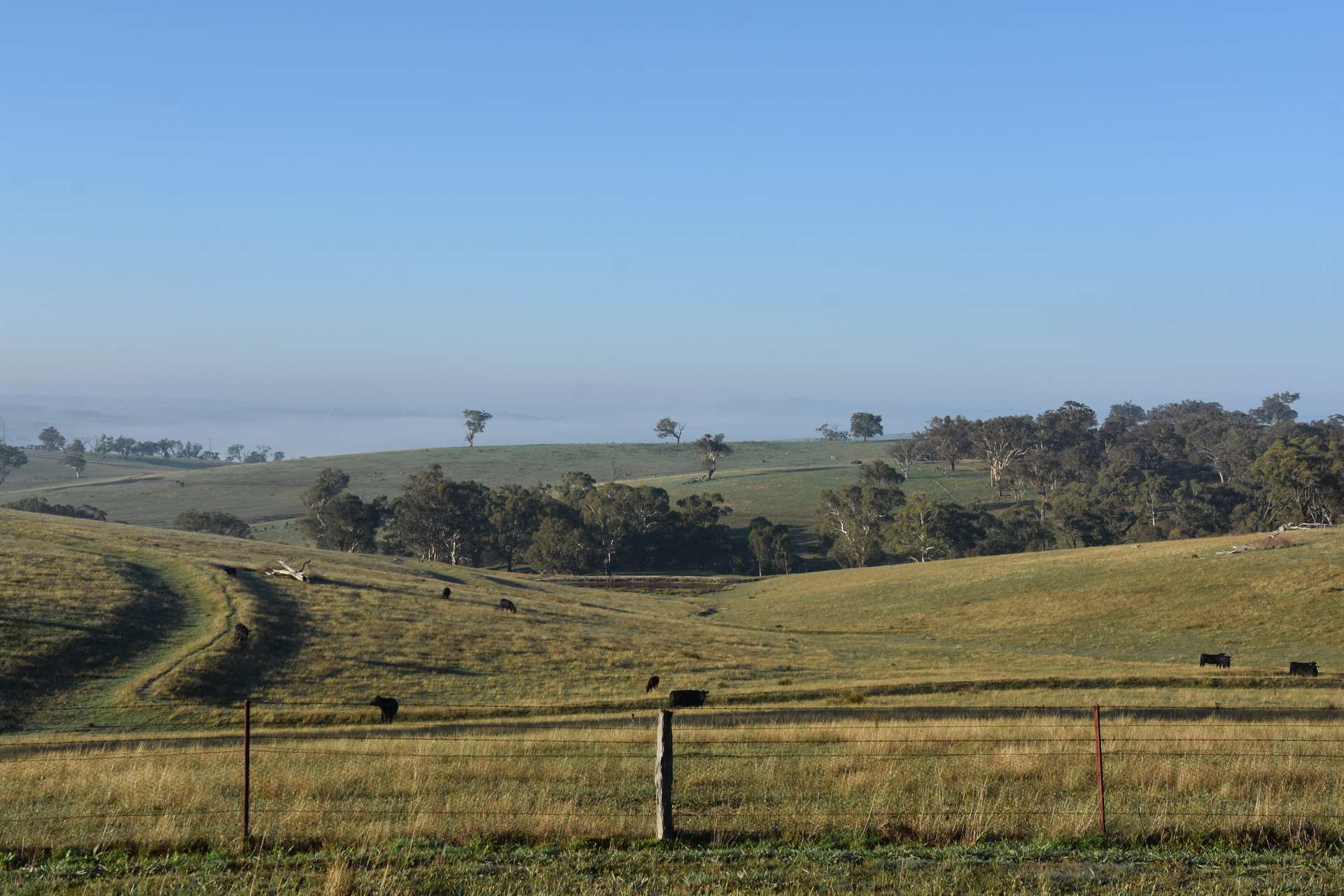 1414 Mid Western Highway, Bathurst Auction by Farmbuy.com - image 25