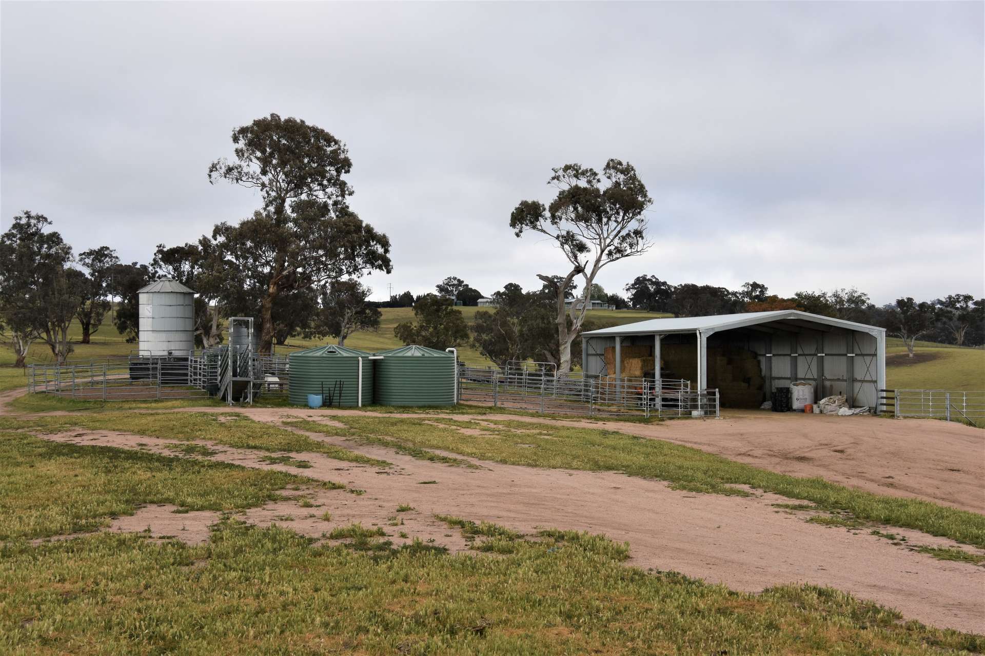 1414 Mid Western Highway, Bathurst Auction by Farmbuy.com - image 12