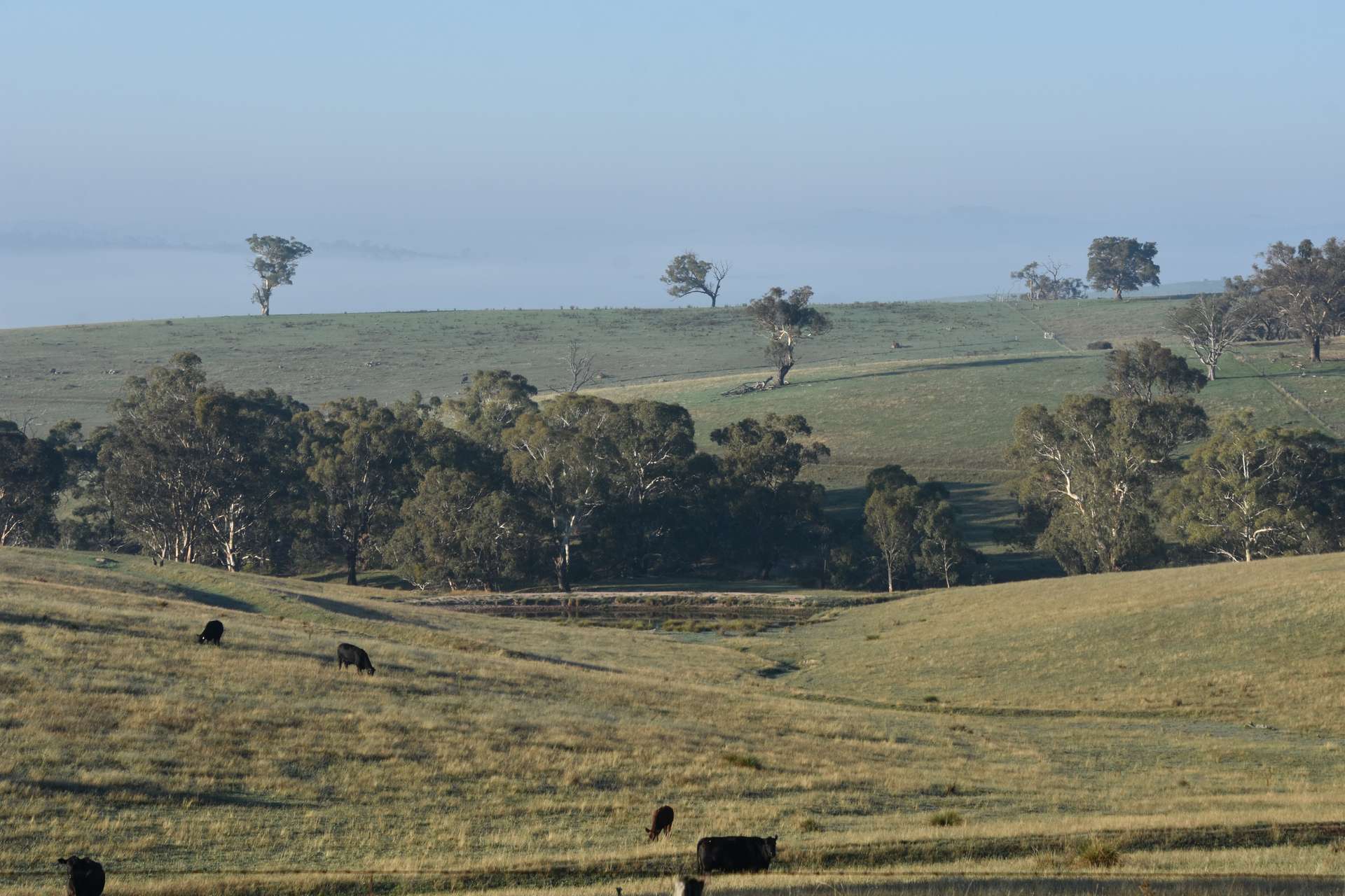 1414 Mid Western Highway, Bathurst Auction by Farmbuy.com - image 26