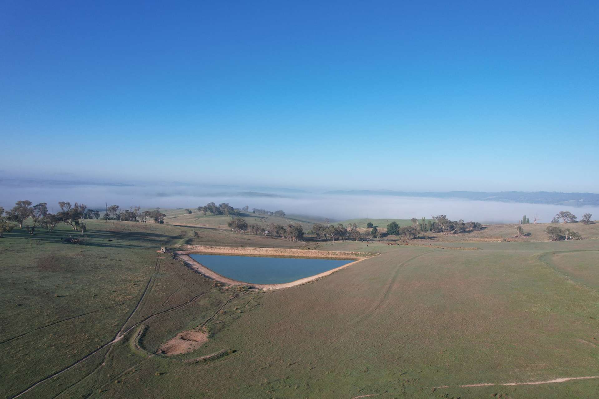 1414 Mid Western Highway, Bathurst Auction by Farmbuy.com - image 18