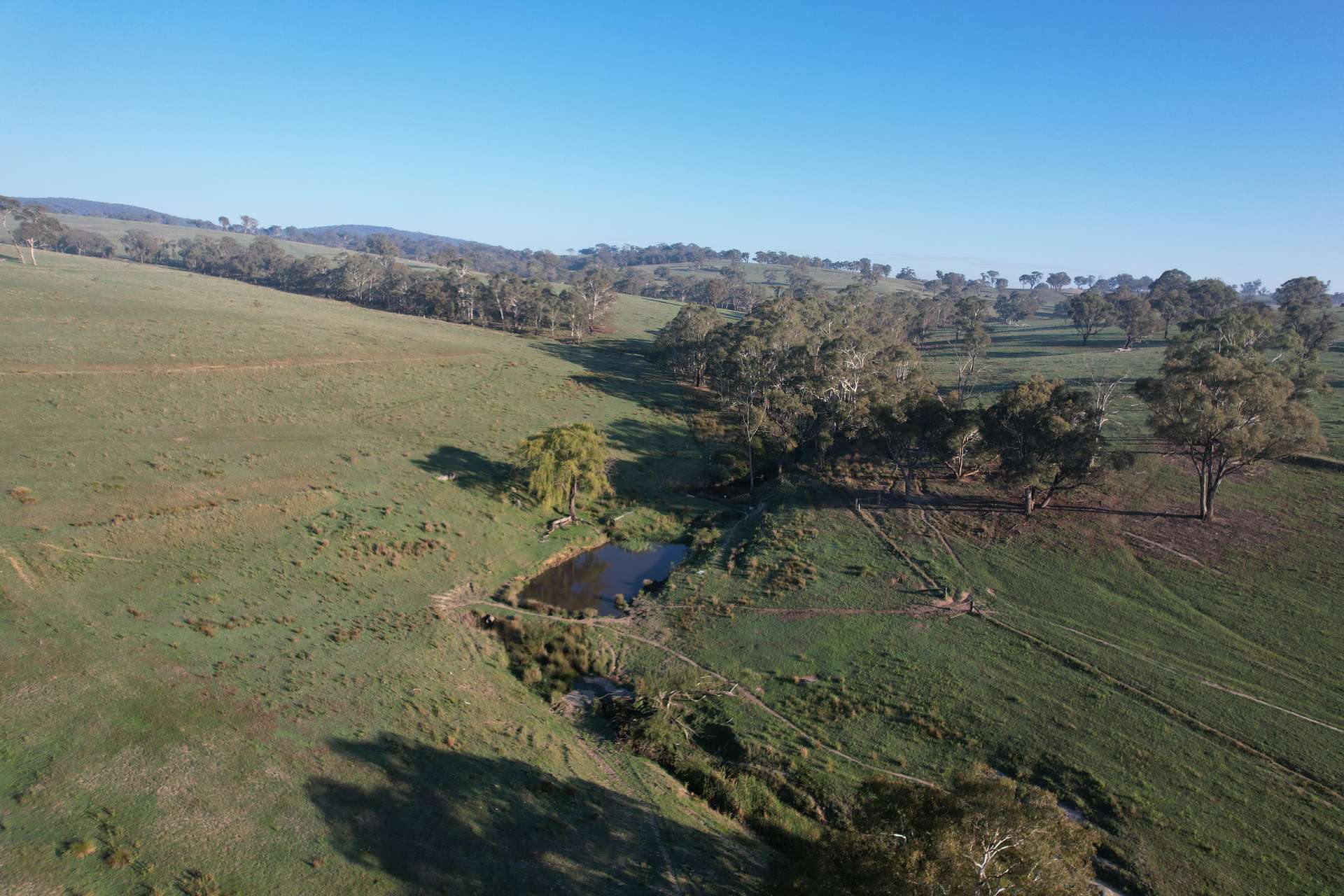 1414 Mid Western Highway, Bathurst Auction by Farmbuy.com - image 17