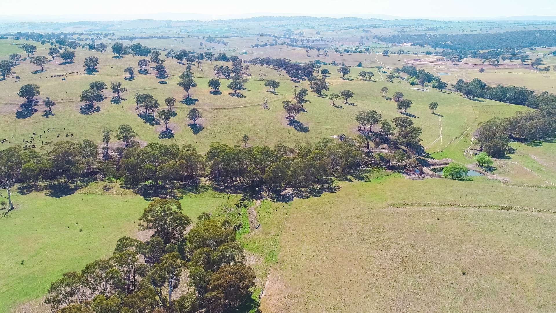 1414 Mid Western Highway, Bathurst Auction by Farmbuy.com - image 13