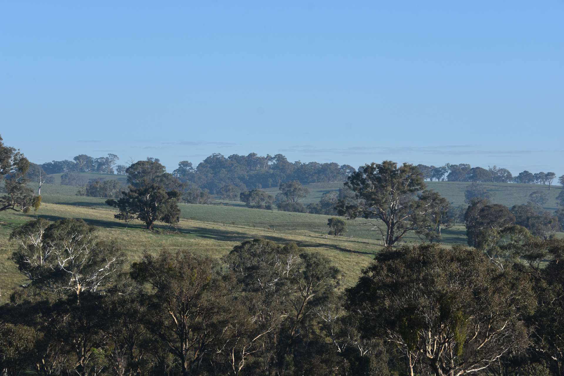 1414 Mid Western Highway, Bathurst Auction by Farmbuy.com - image 28