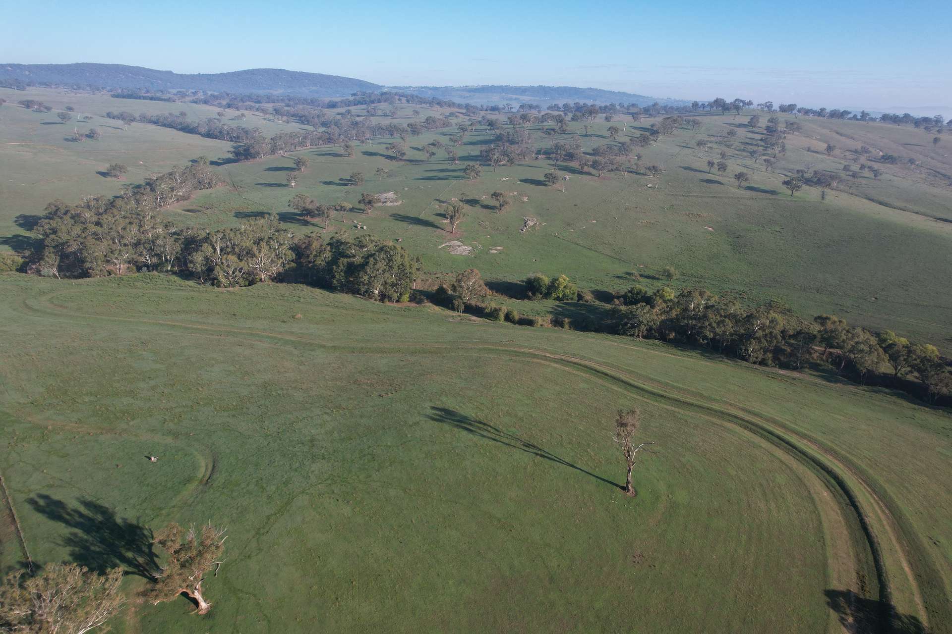 1414 Mid Western Highway, Bathurst Auction by Farmbuy.com - image 19
