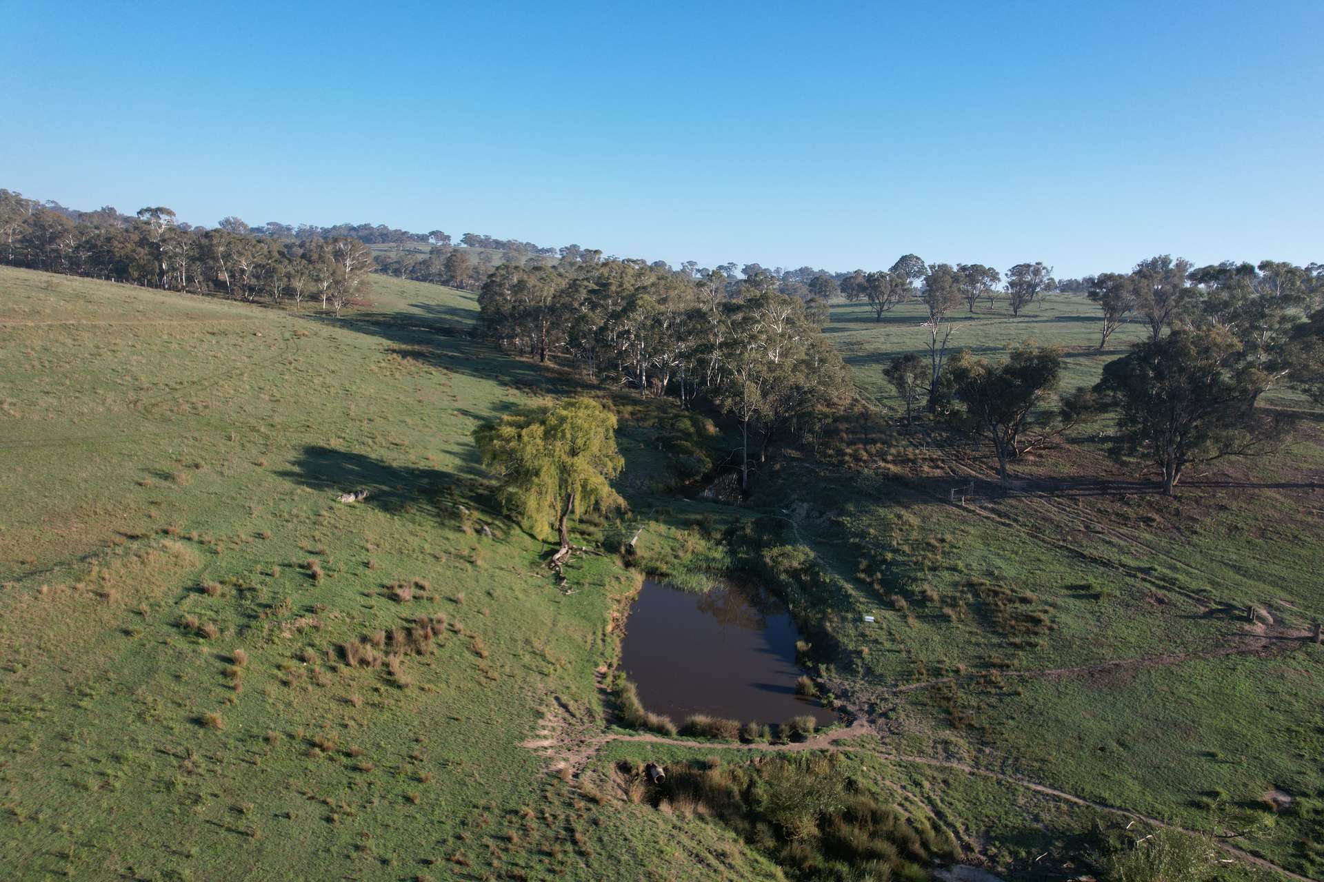 1414 Mid Western Highway, Bathurst Auction by Farmbuy.com - image 2
