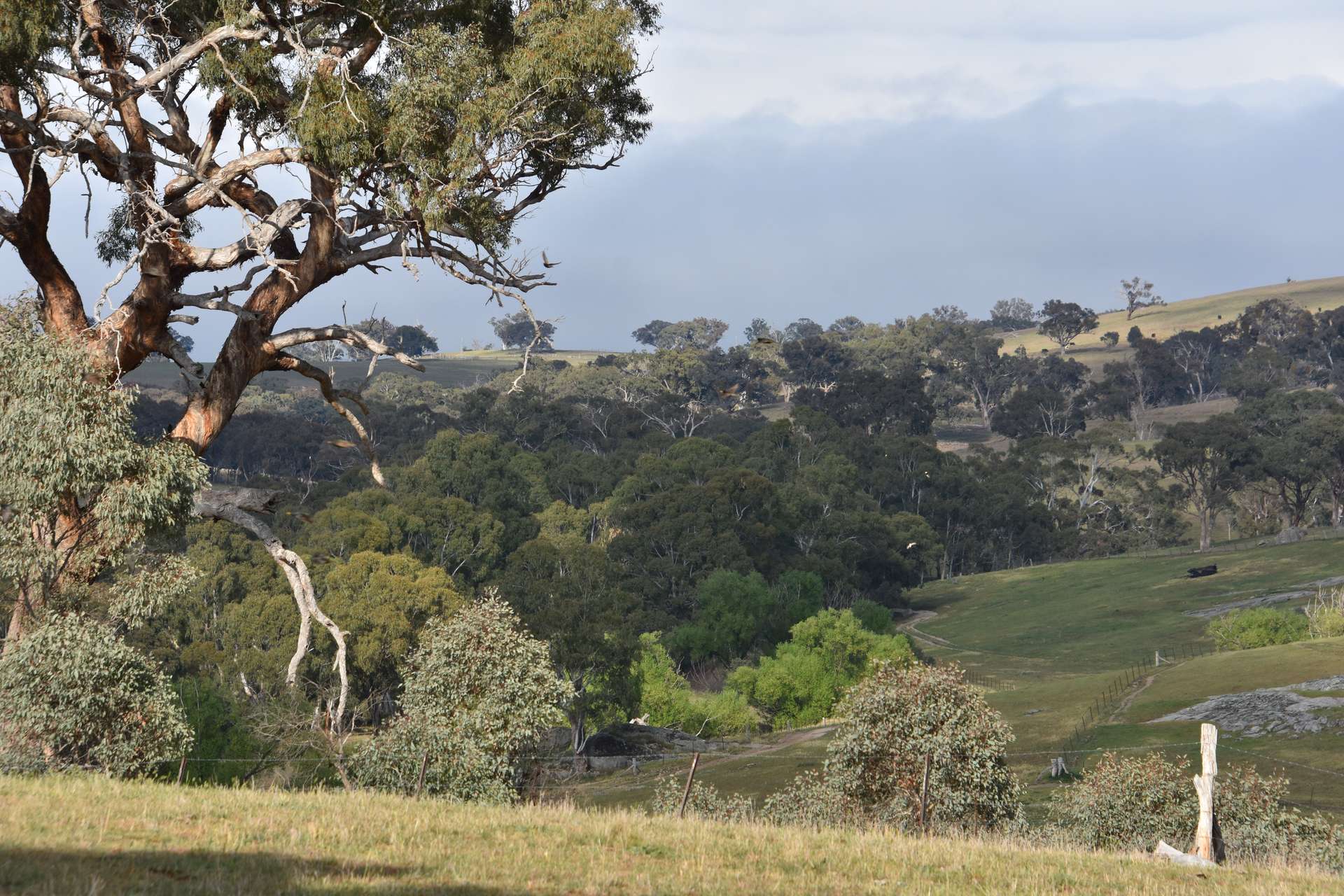 1414 Mid Western Highway, Bathurst Auction by Farmbuy.com - image 23