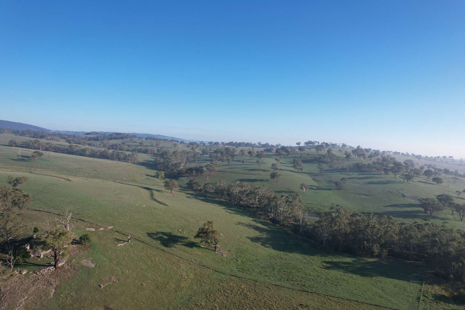 1414 Mid Western Highway, Bathurst Auction by Farmbuy.com - image 16