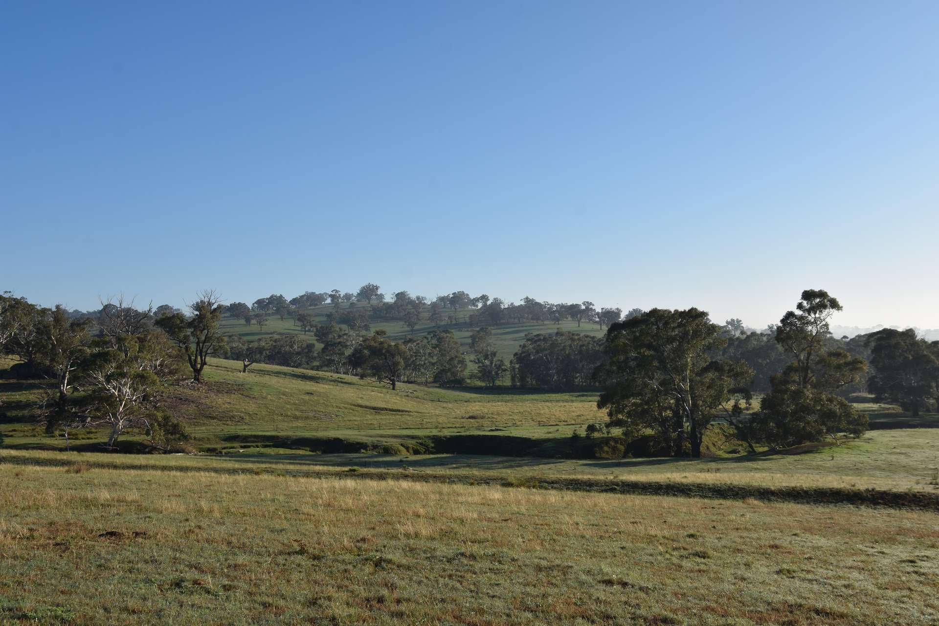 1414 Mid Western Highway, Bathurst Auction by Farmbuy.com - image 27