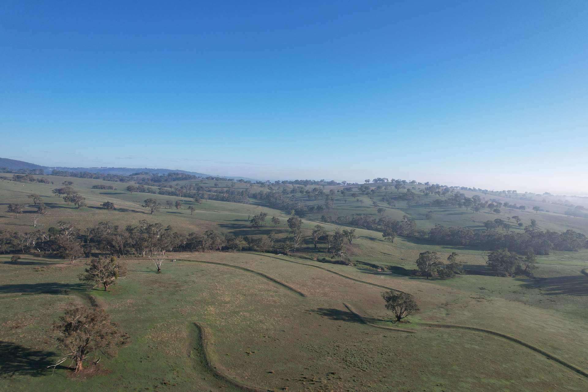 1414 Mid Western Highway, Bathurst Auction by Farmbuy.com - image 15