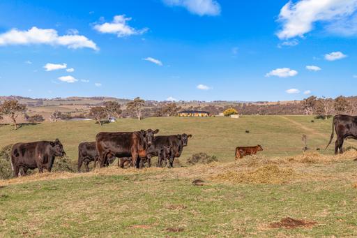 1414 Mid Western Highway, Bathurst NSW 2795